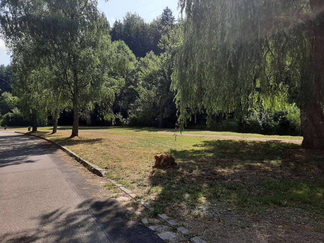 Wohnmobilstellplatz Gasthaus Pension Waldesruhe — Photo 6