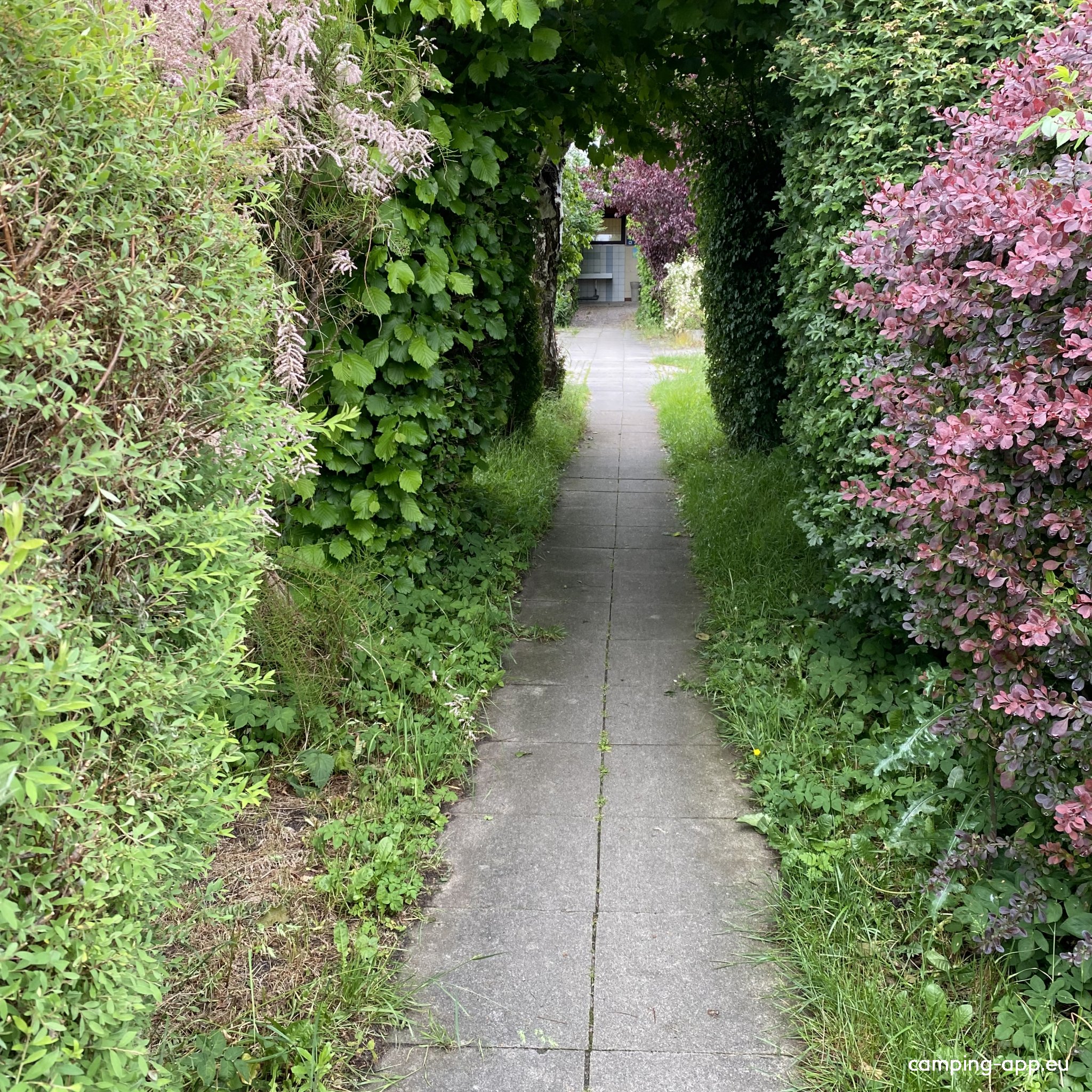 Camping-Ferienpark Grömitz-Lensterstrand — Photo 6