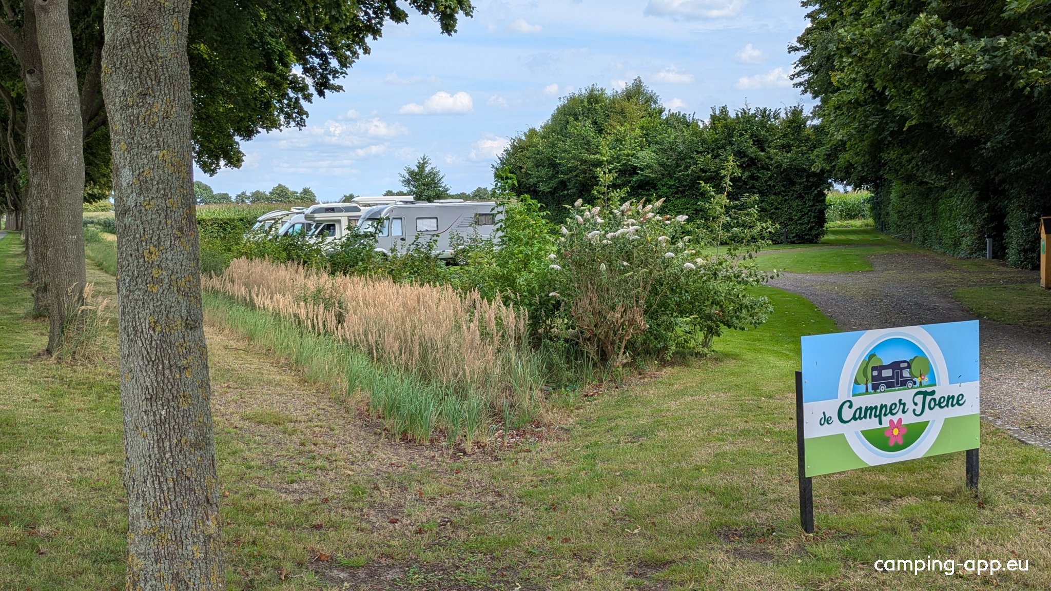 De Camper Toene — Photo 5