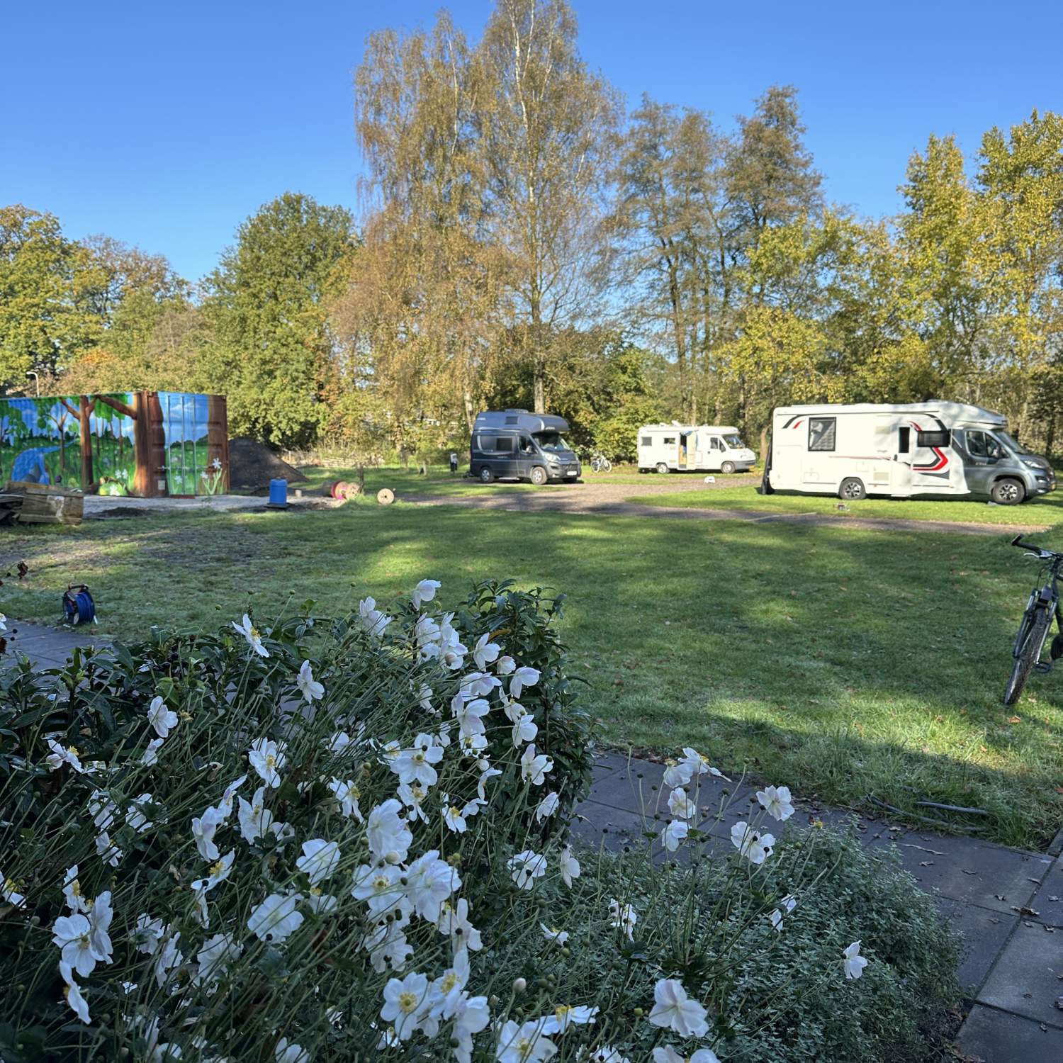 Hammiehoeve Camperplaats — Photo 6