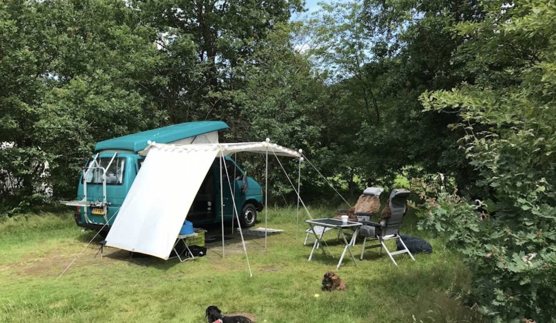 Natuurkampeerterrein De Klashorst — Photo 4