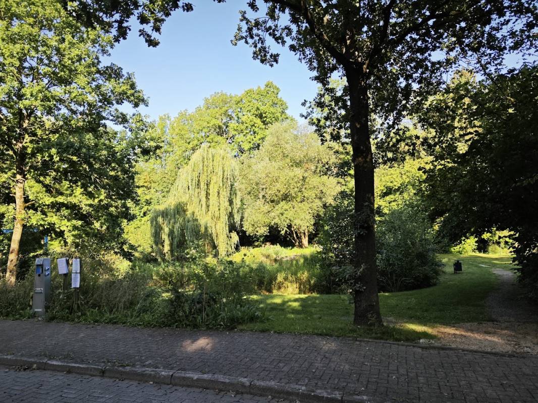 Wohnmobilstellplatz Wolfshagen im Harz