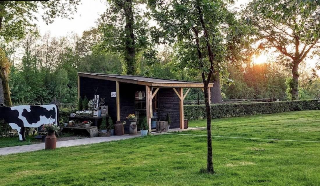 De Kleve — Photo 2