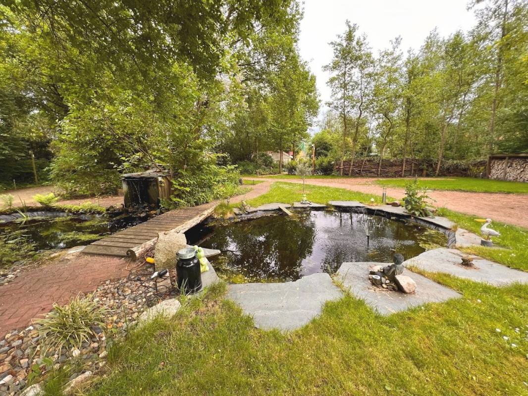 Camping De Beerte — Photo 4