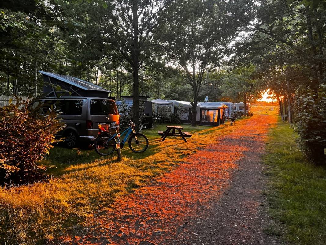 Camping De Beerte — Photo 3