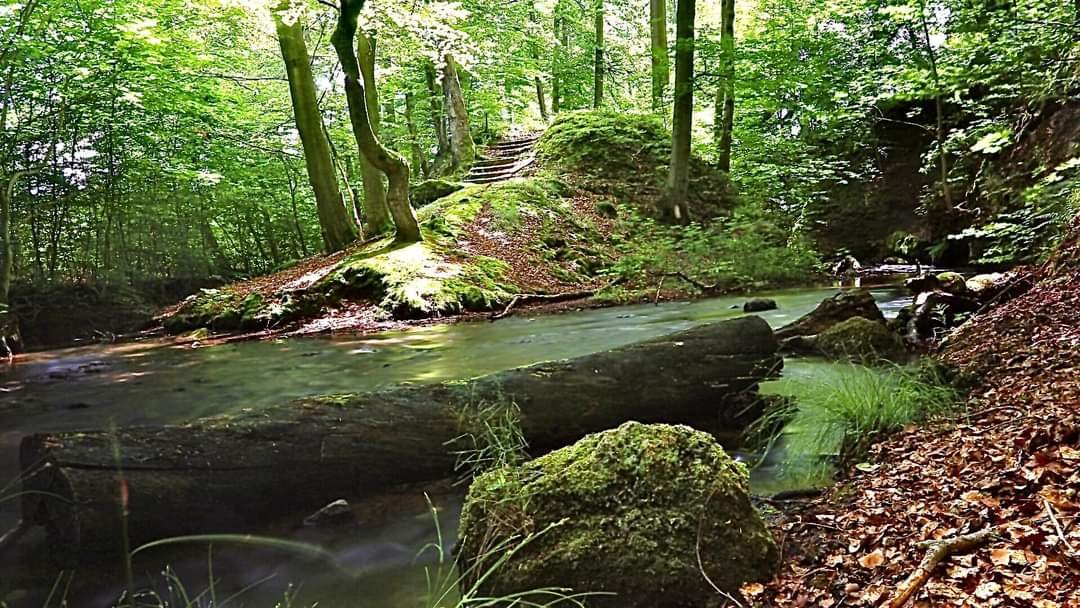 Stellplatz Unkeroda — Photo 3