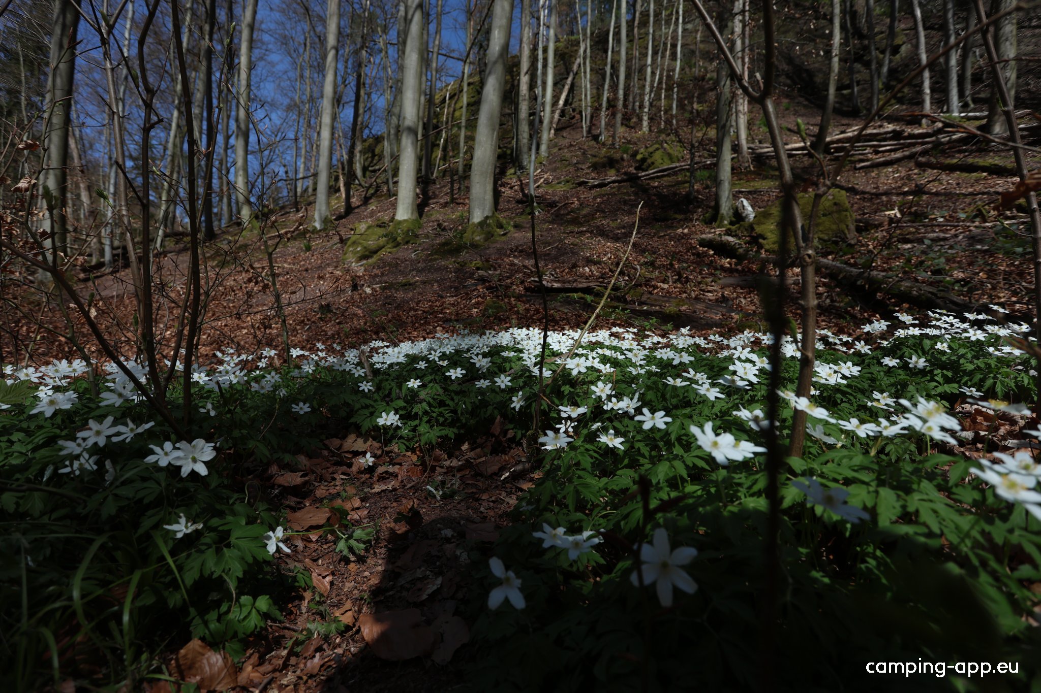 Stellplatz Unkeroda — Photo 6