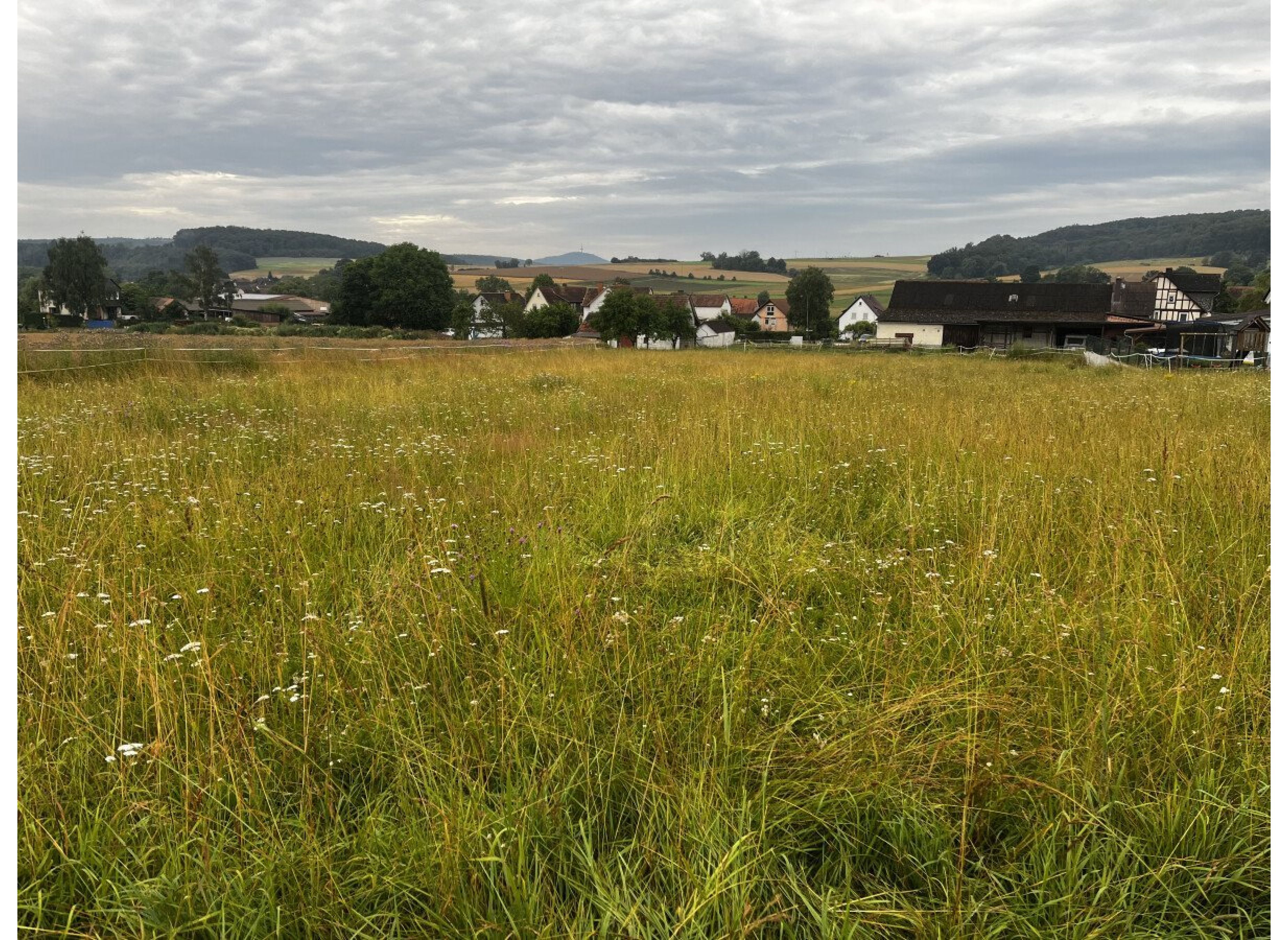 Stellplatz am Dorfrand — Motorhome pitch in Lohra