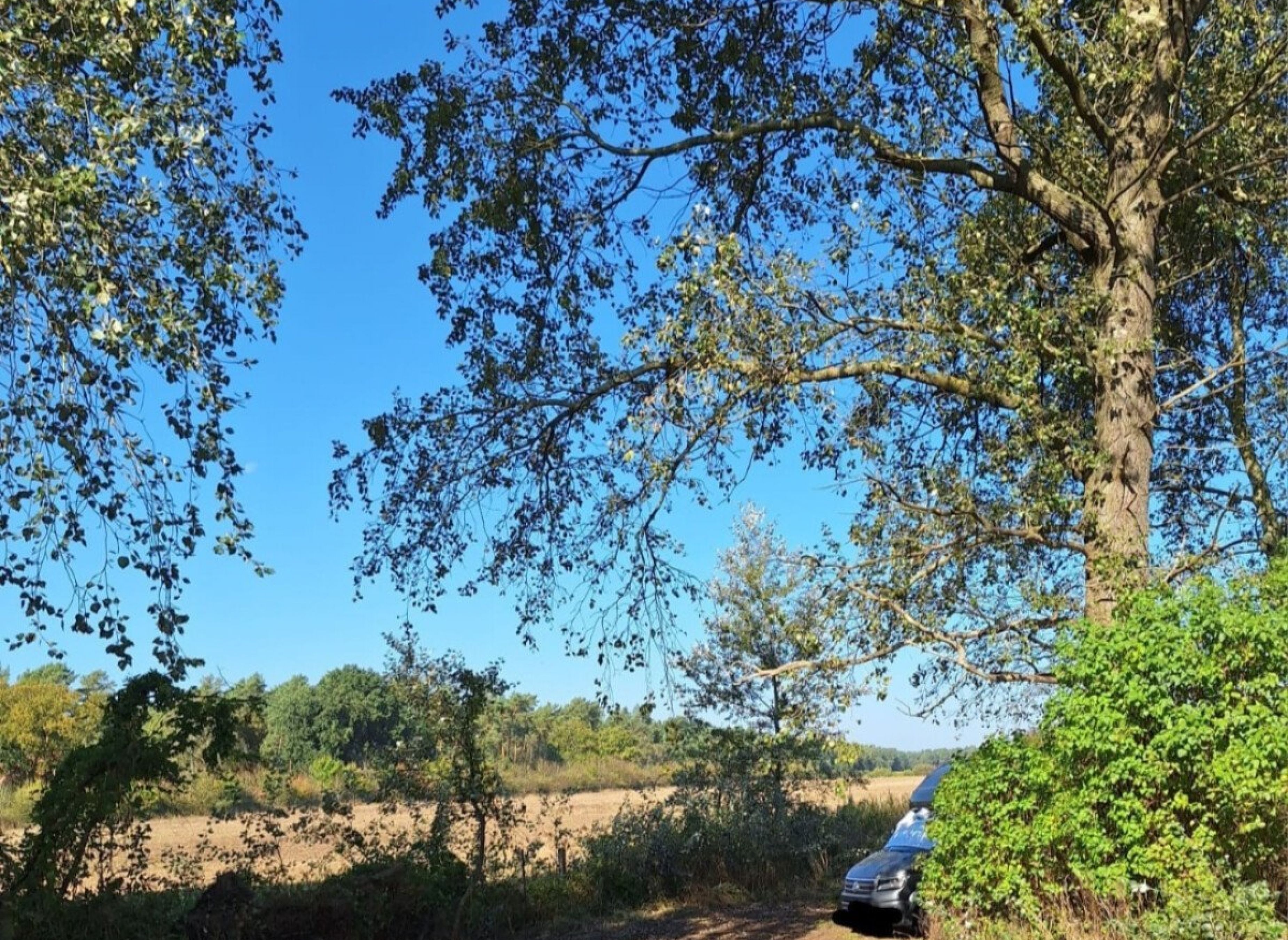 Stellplätze in der Natur — Photo 2