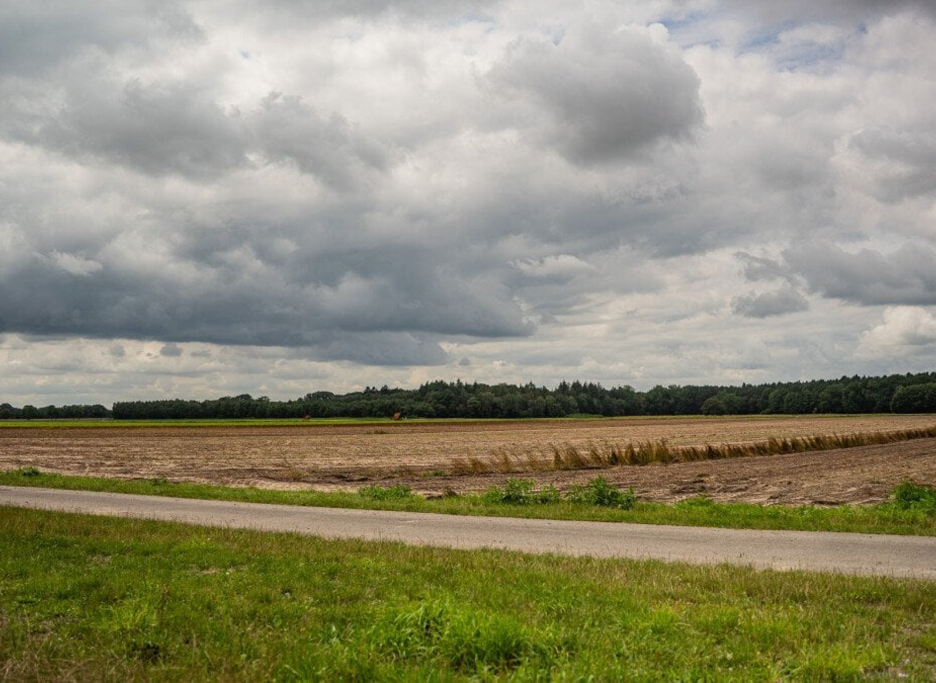 Zum Wohlenberg — Photo 3