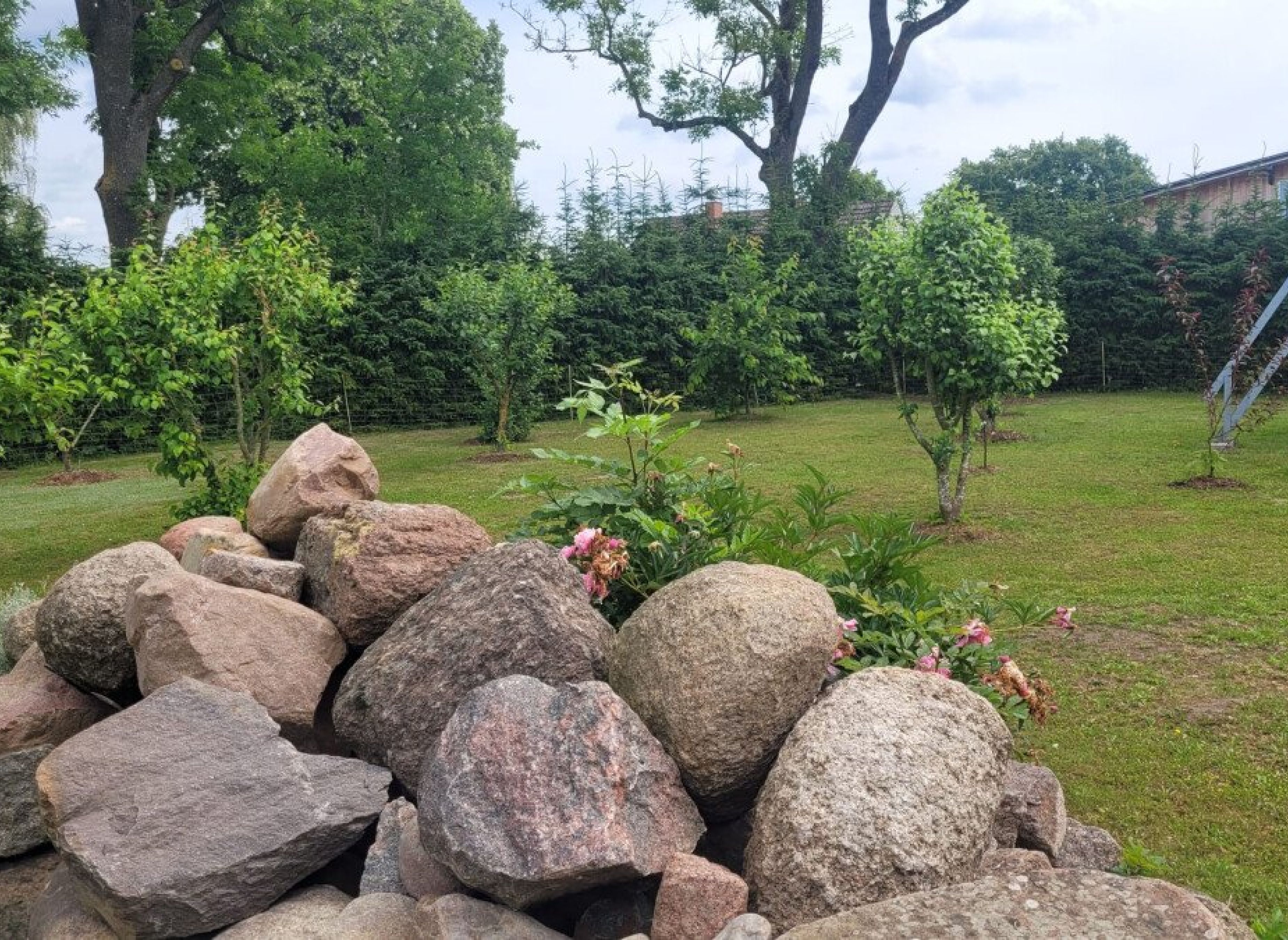 Grüne Freiheit am Tore der Insel Usedom — Photo 2