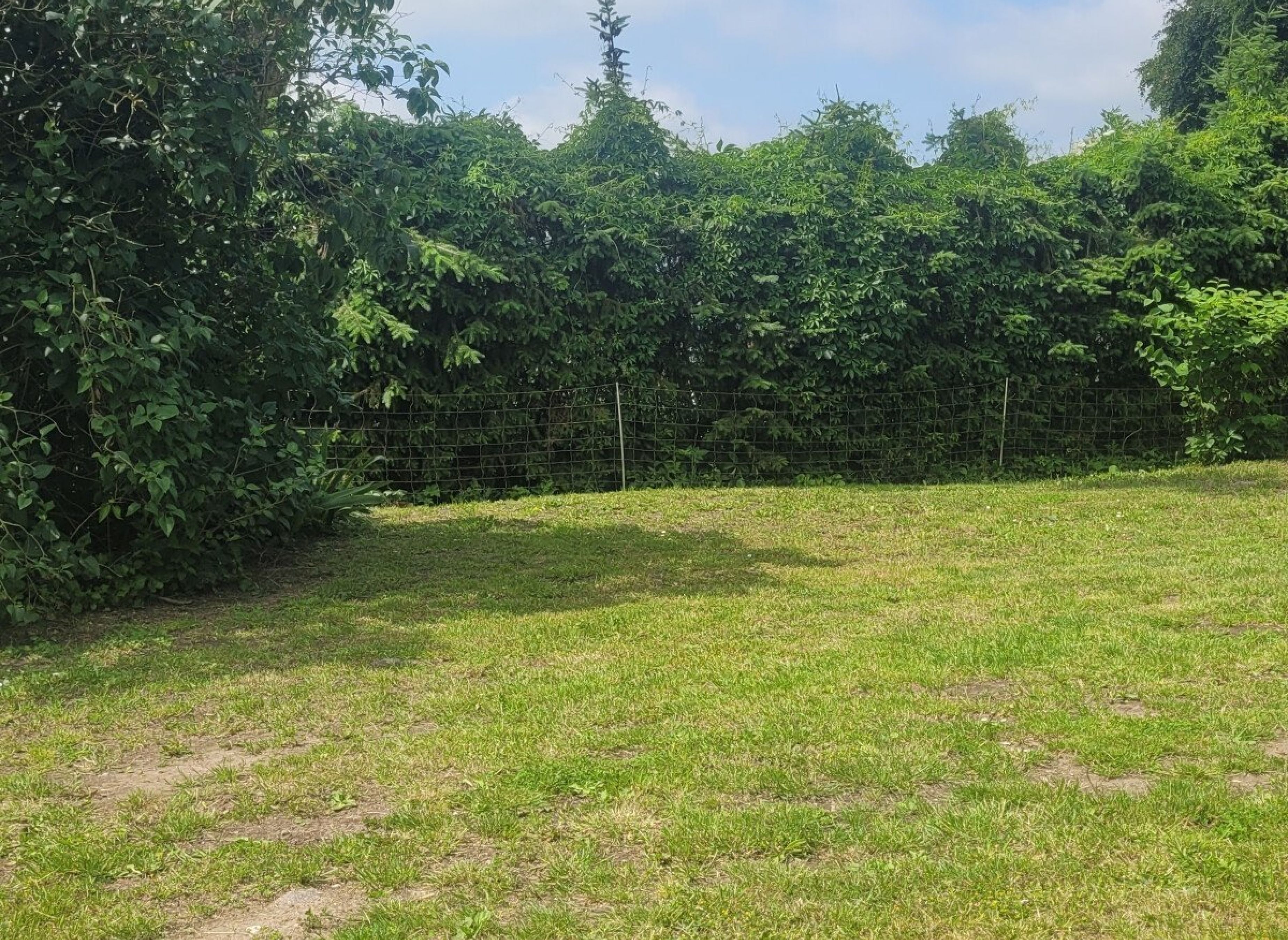 Grüne Freiheit am Tore der Insel Usedom — Photo 3