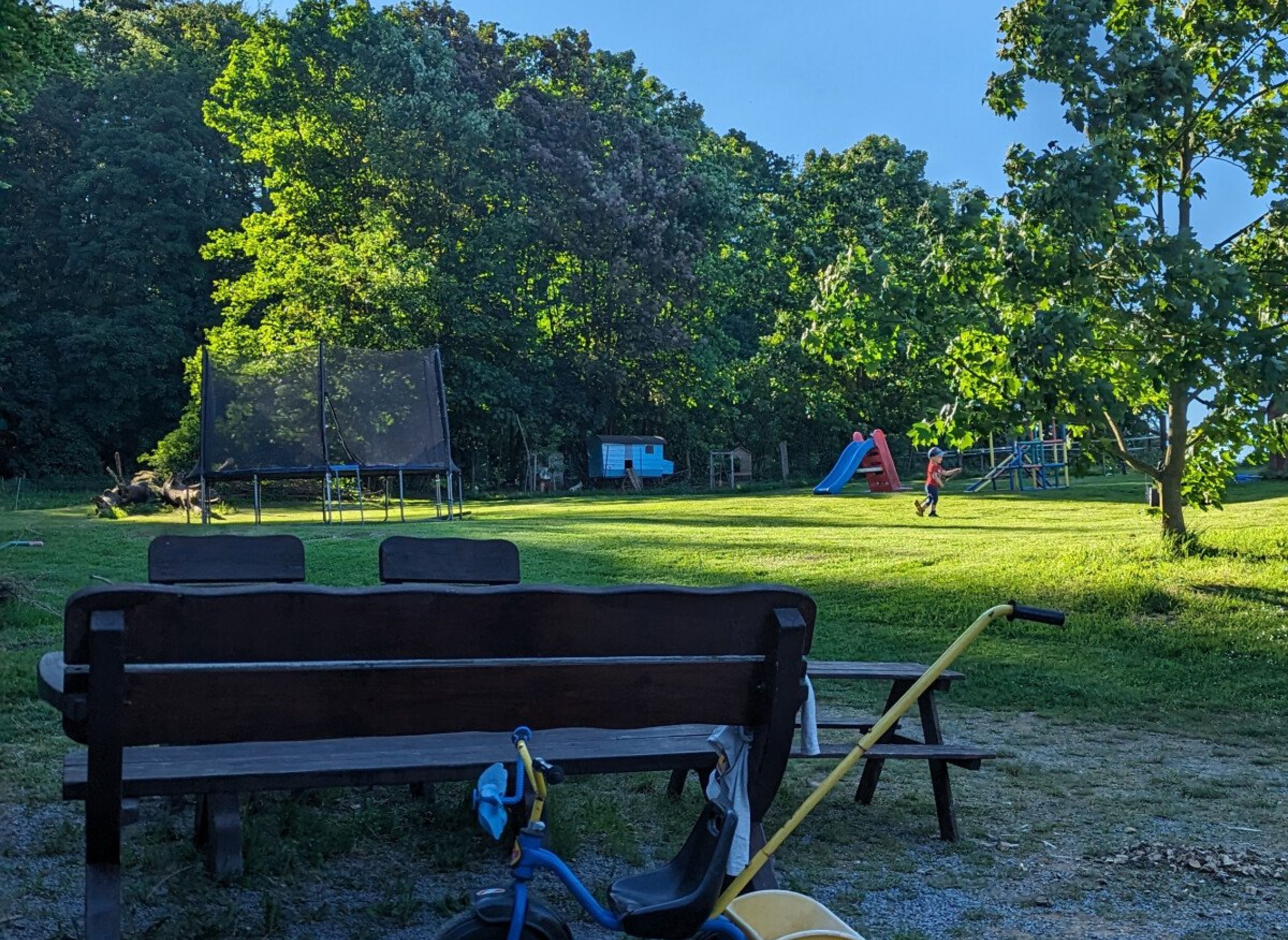 Idylle zwischen Wald und Wiese — Photo 2