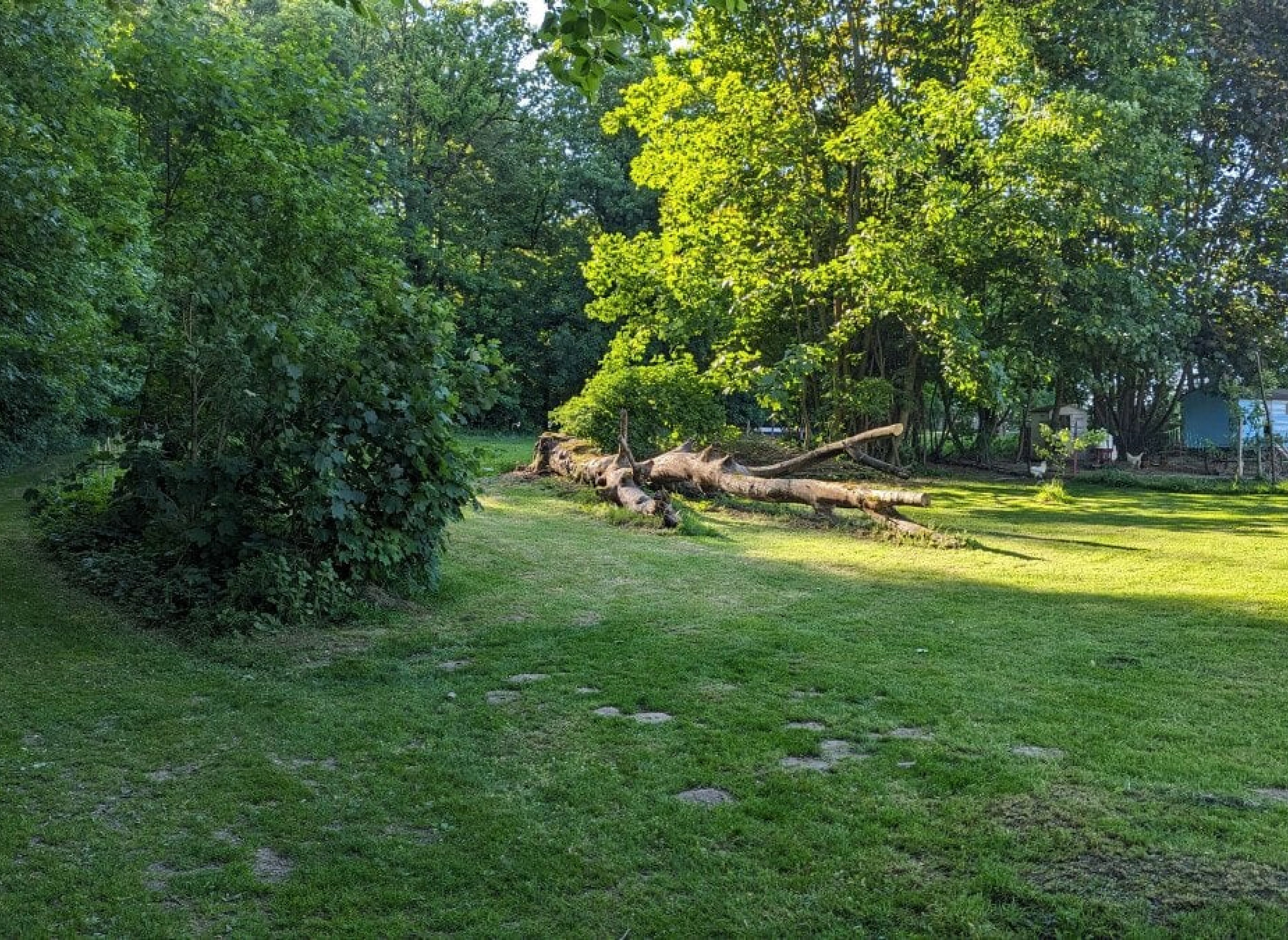 Idylle zwischen Wald und Wiese — Photo 3