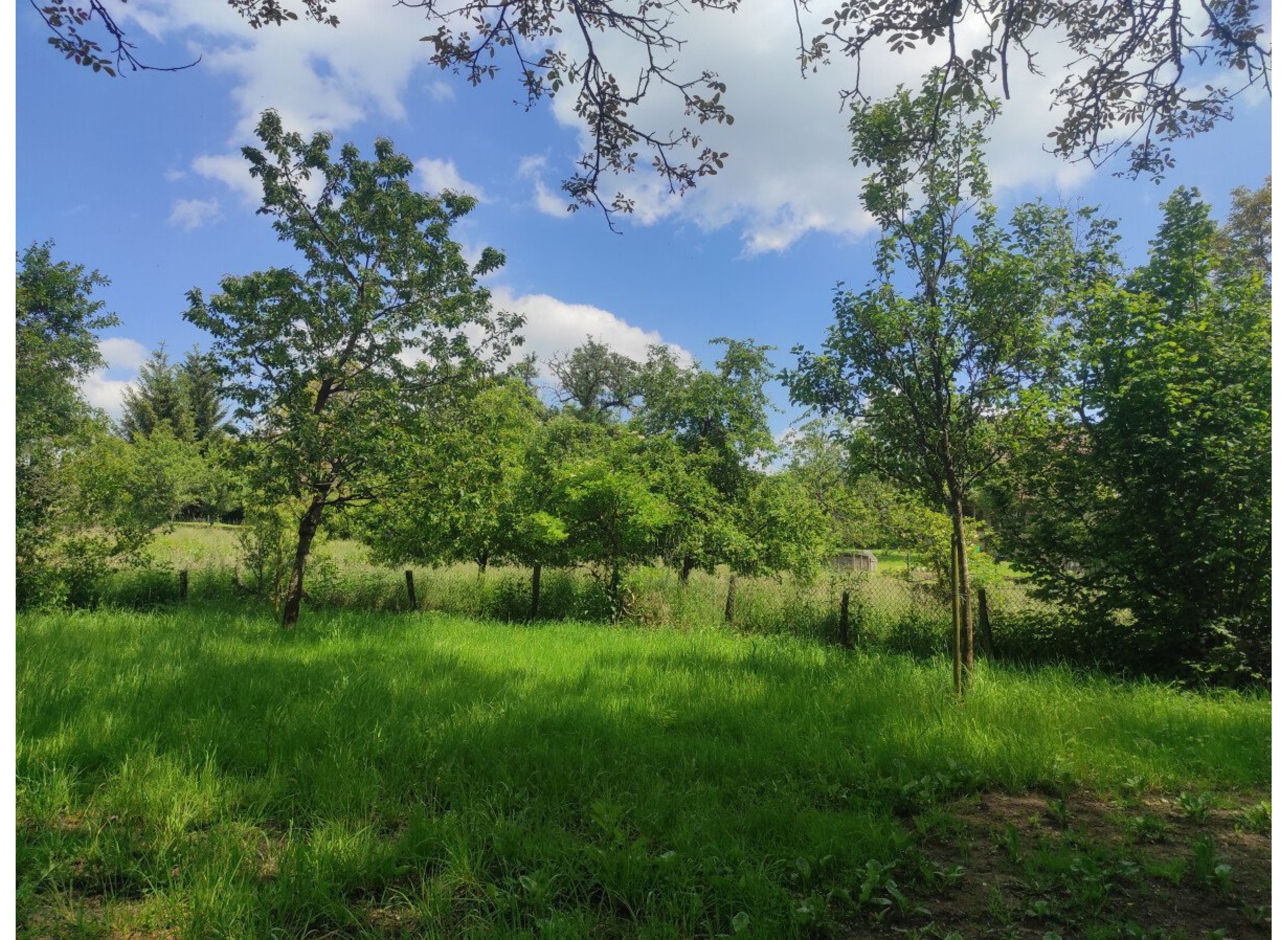 Einzelplatz im Grünen mind. 1 Tag im Voraus buchen!!! — Área de autocaravanas in Eckersweiler