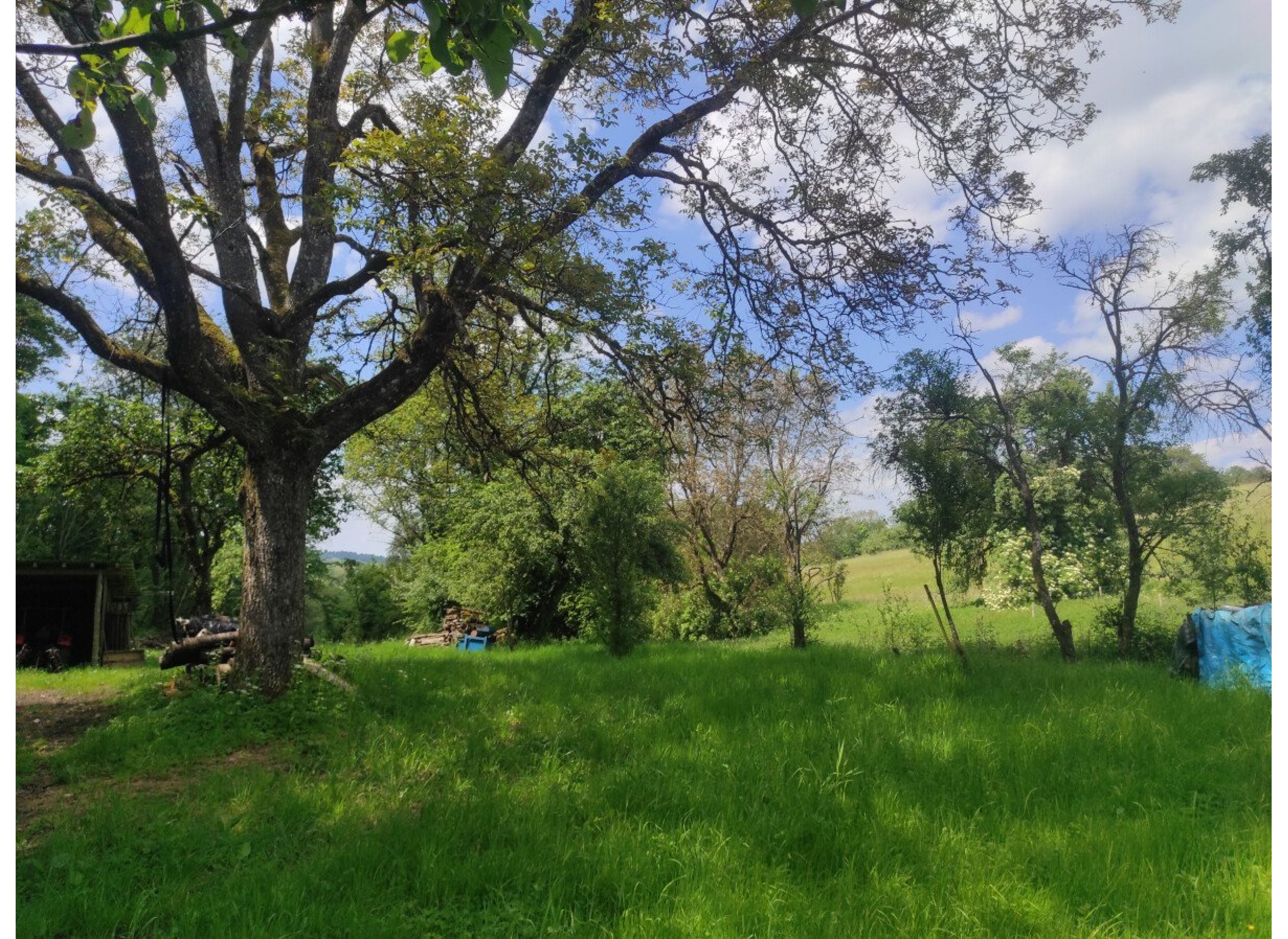 Einzelplatz im Grünen mind. 1 Tag im Voraus buchen!!! — Photo 3