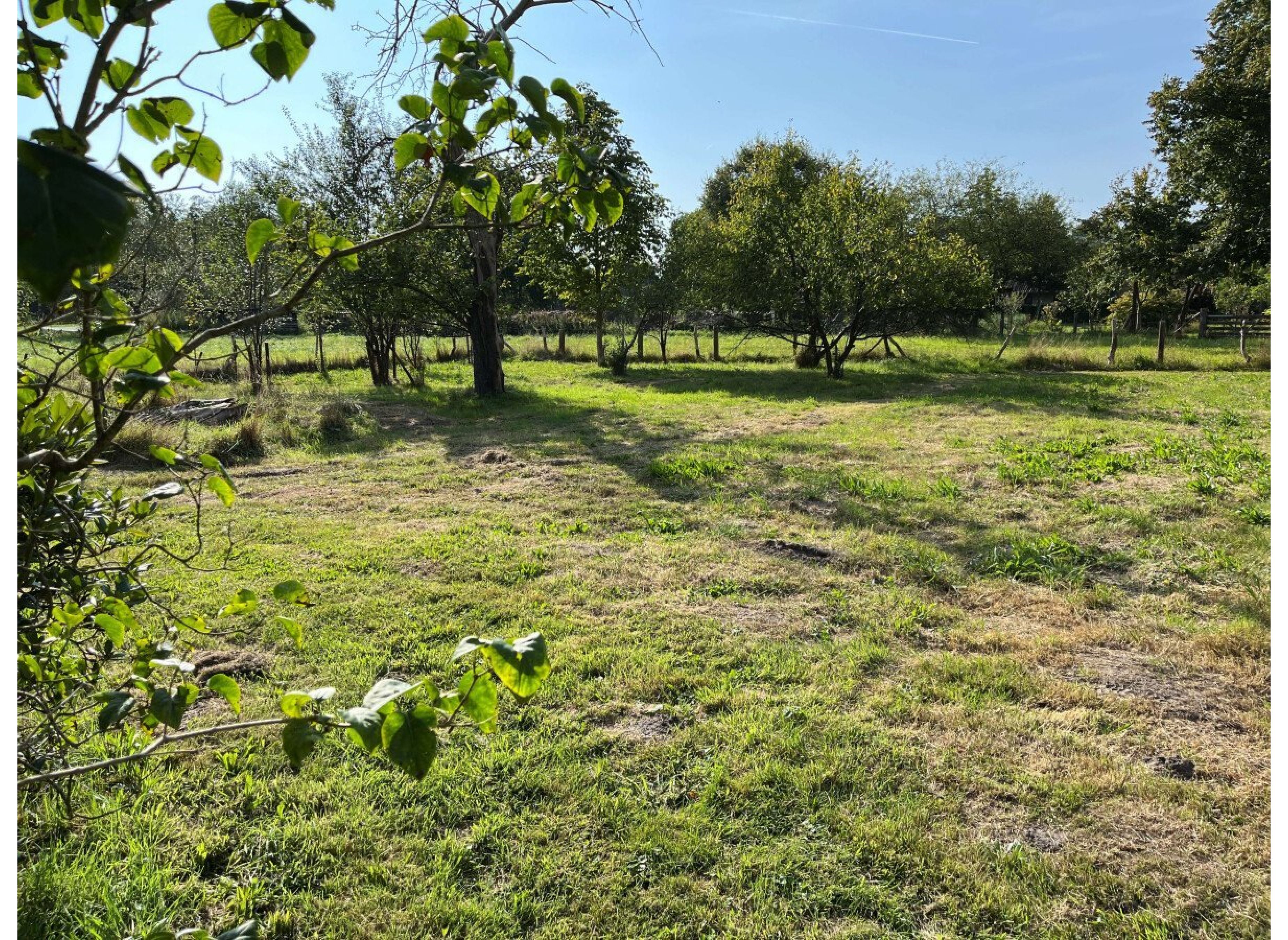 Fintauwiese hinter dem Haus mit dem Storch in der Nachbarschaft — Karavanové stání in Lauenbrück