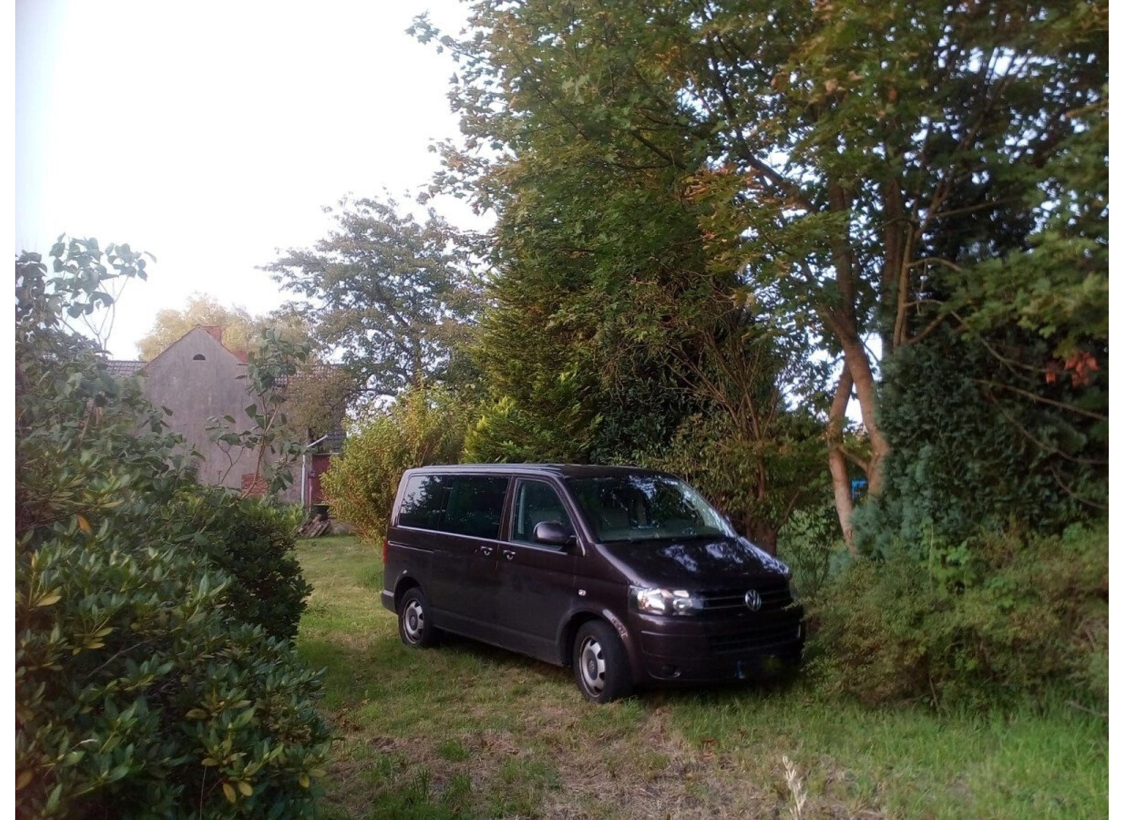 Fintauwiese hinter dem Haus mit dem Storch in der Nachbarschaft — Photo 2