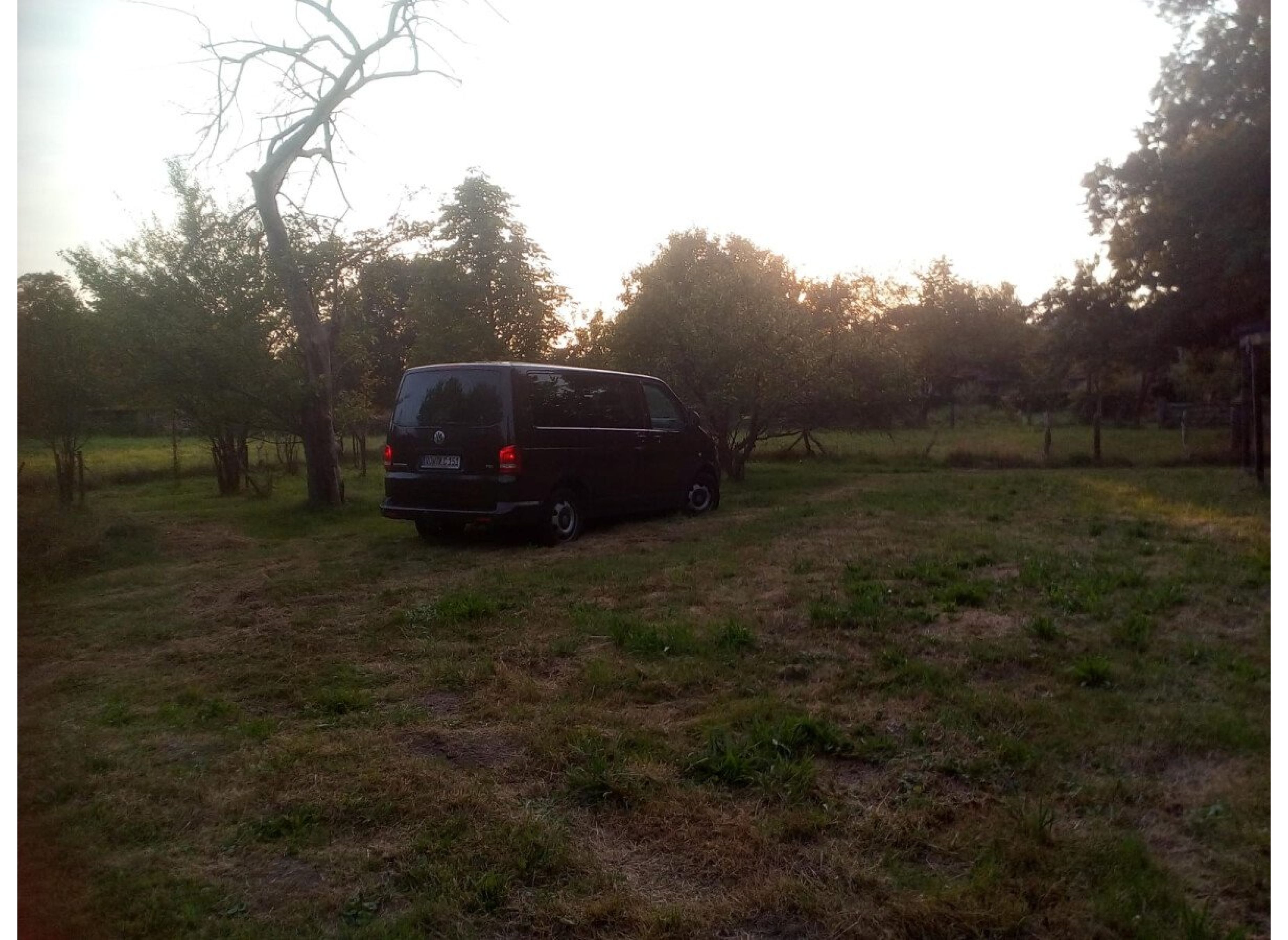 Fintauwiese hinter dem Haus mit dem Storch in der Nachbarschaft — Photo 3
