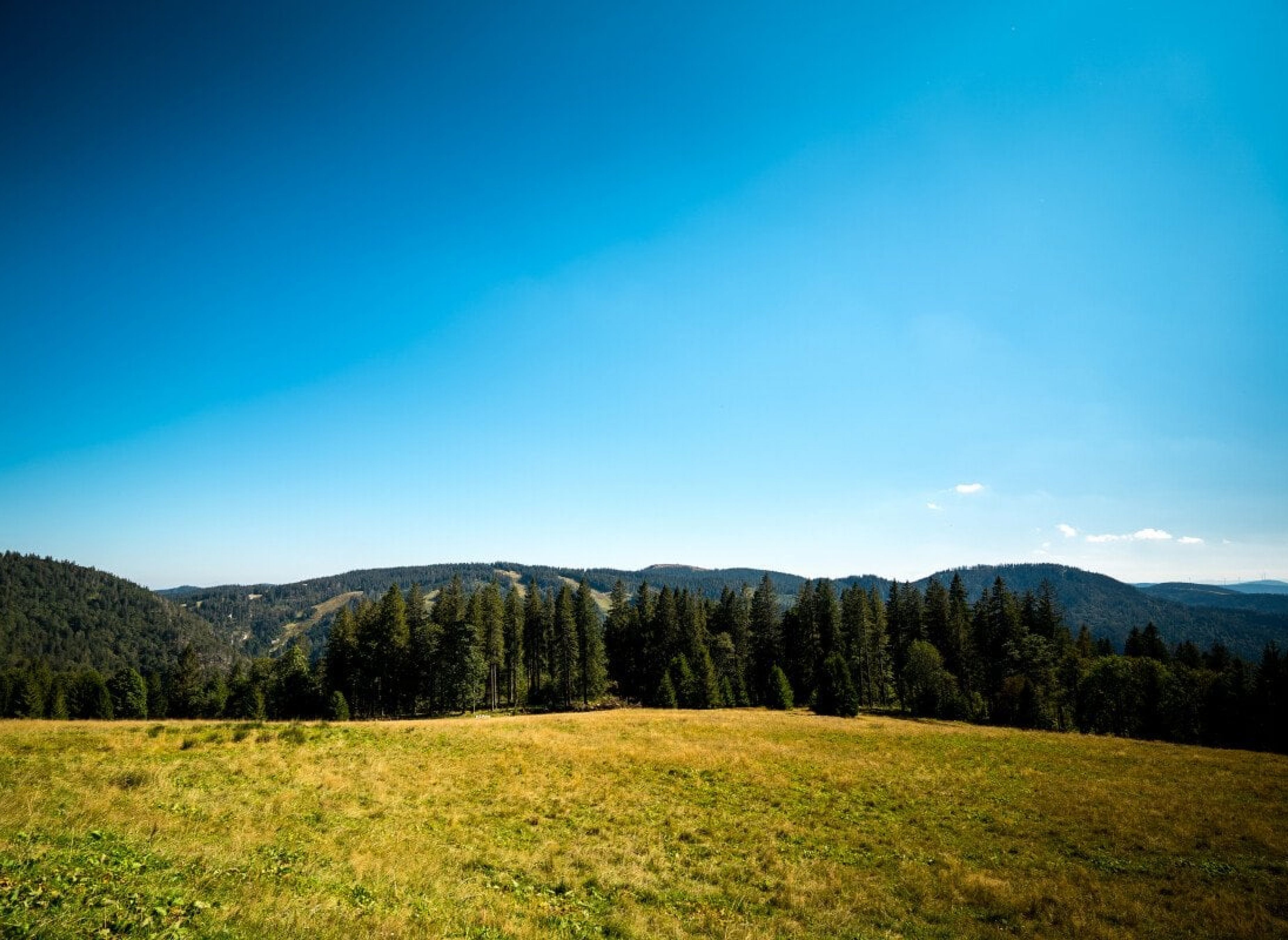 Panoramablick vom Feldberg — Photo 2