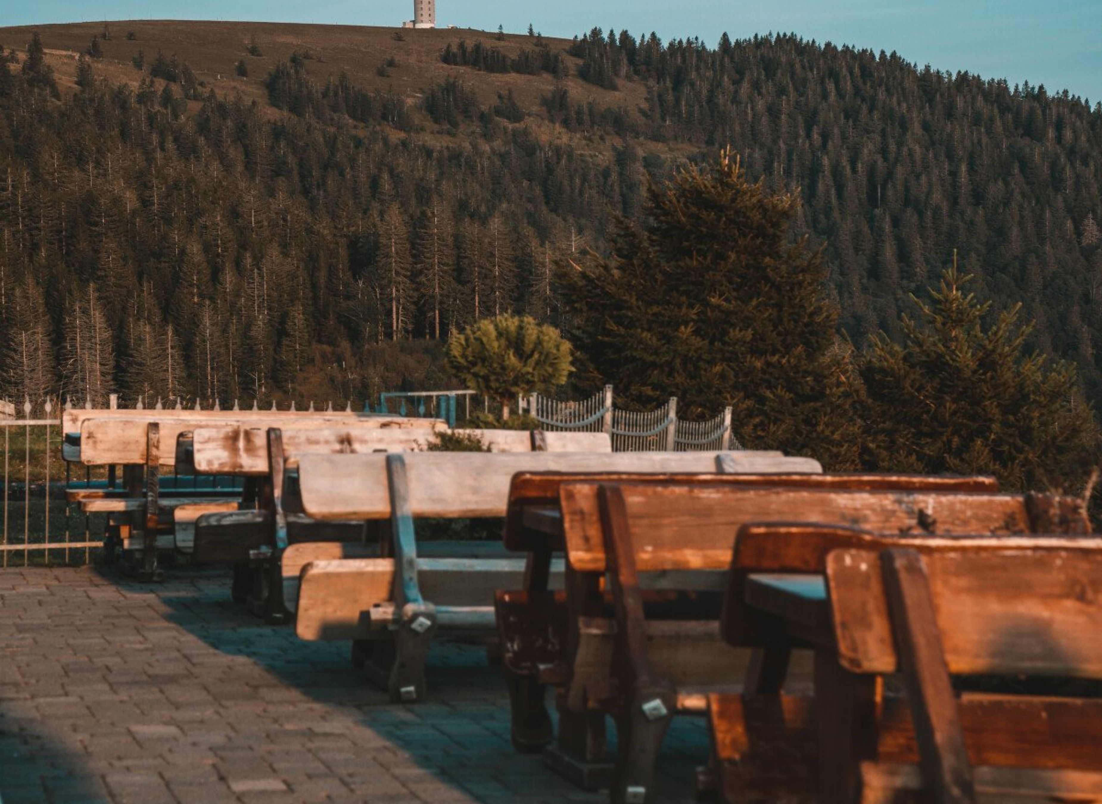 Panoramablick vom Feldberg — Photo 3