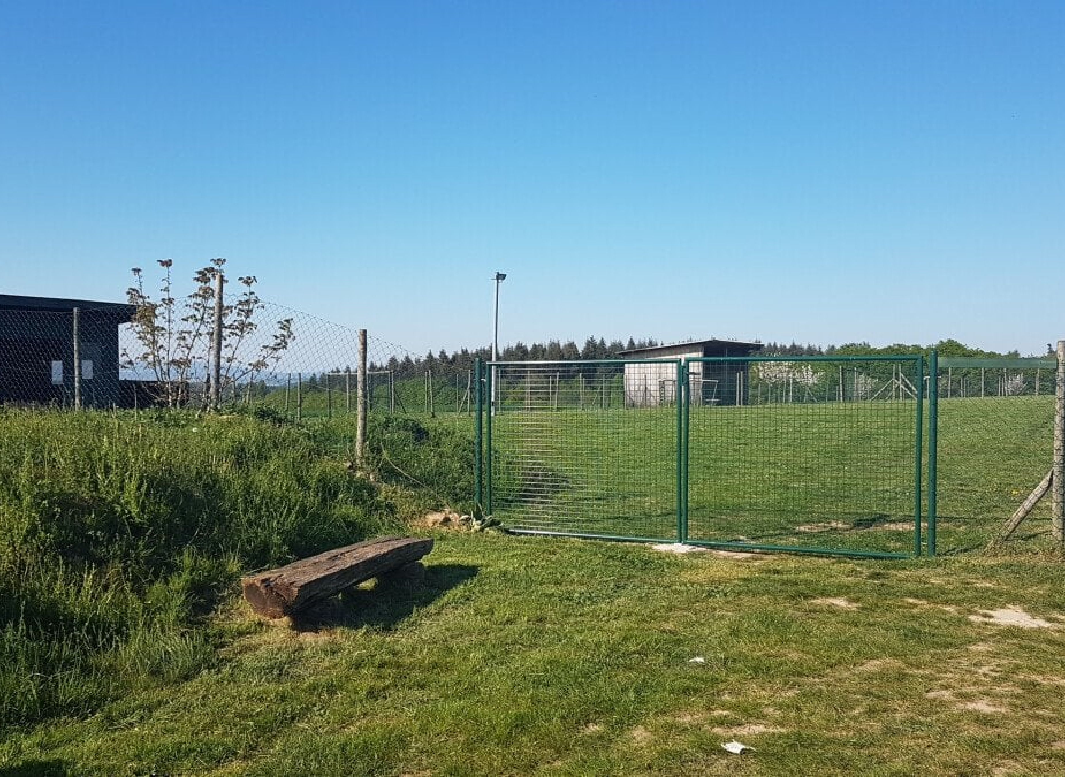 Stellplatz für Camper in idyllischer Lage – Perfekt für Natur- und Hundeliebhaber! — Photo 2