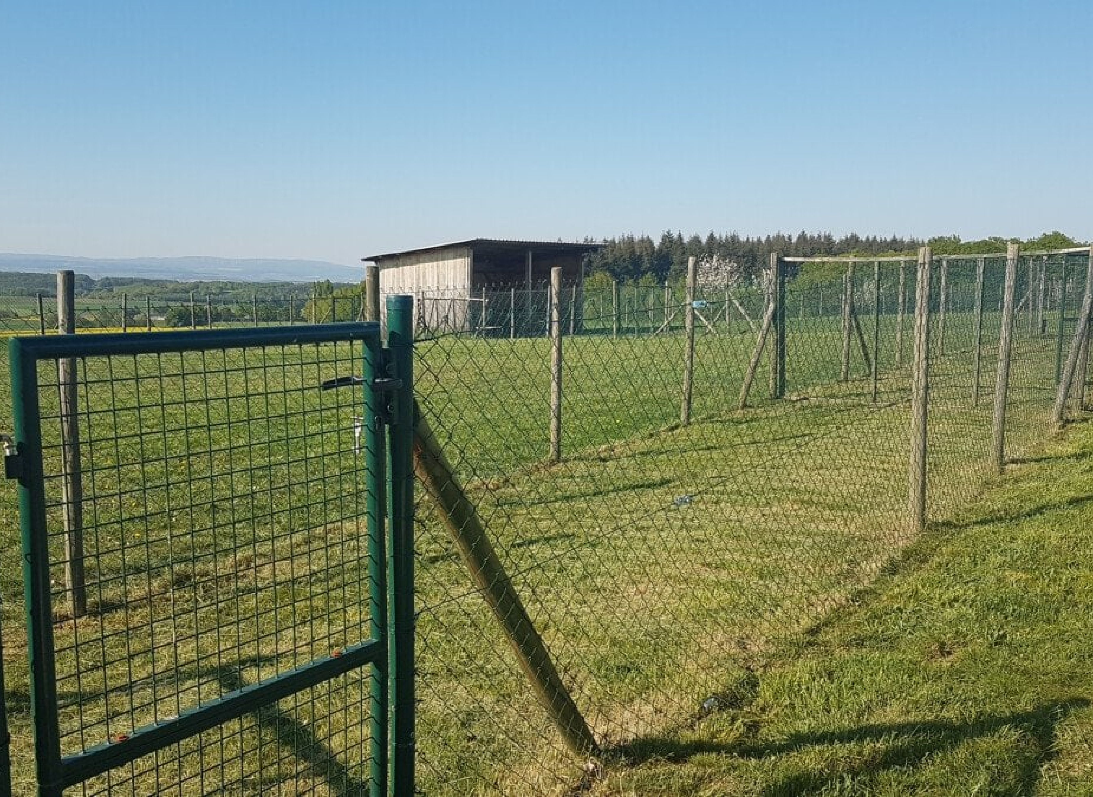 Stellplatz für Camper in idyllischer Lage – Perfekt für Natur- und Hundeliebhaber! — Photo 3