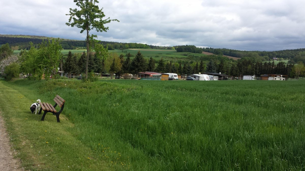 Campingplatz am Bauernhof — Photo 3