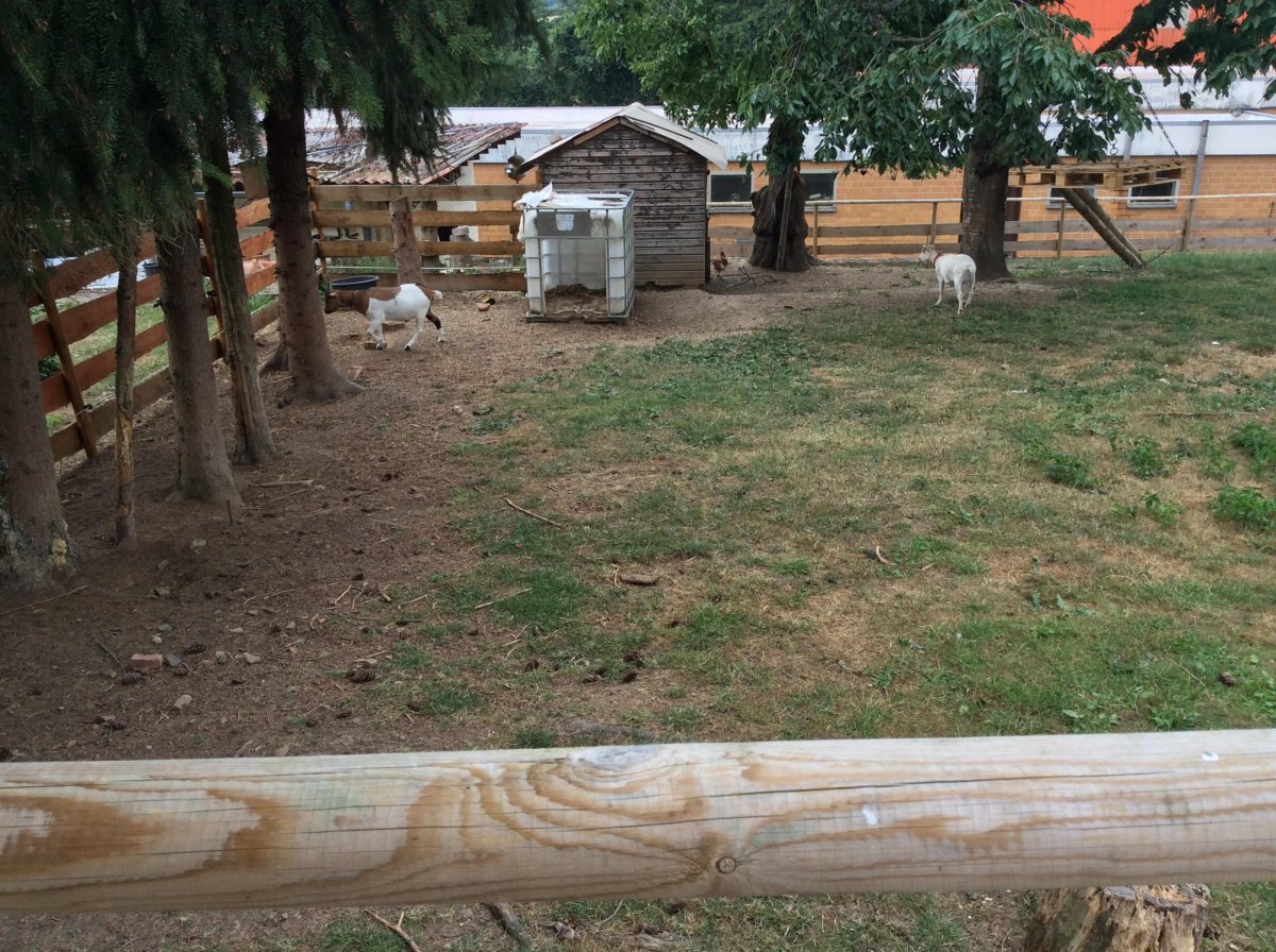 Campingplatz am Bauernhof — Photo 5