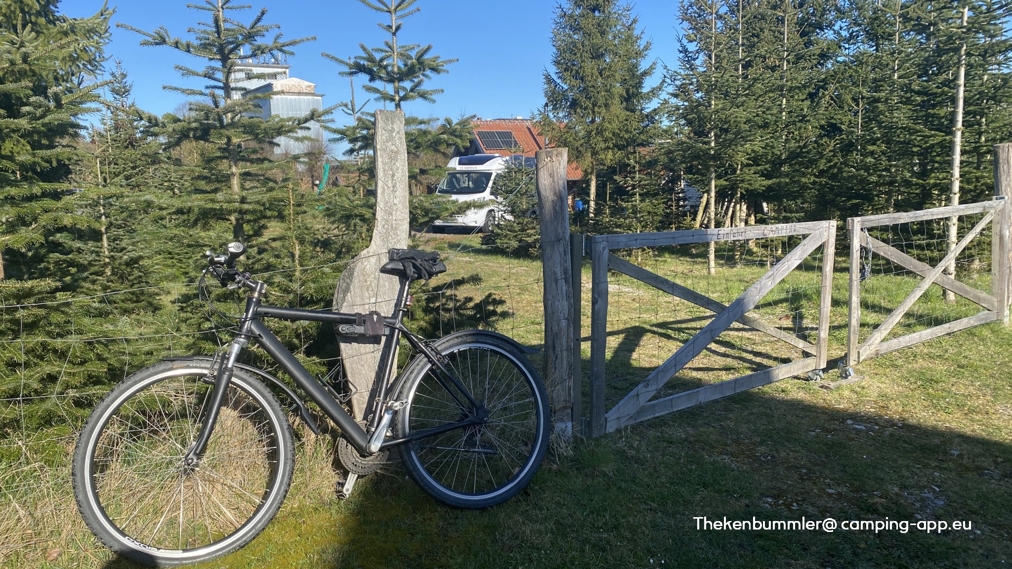 Althöfer Tannen Schonung — Photo 4