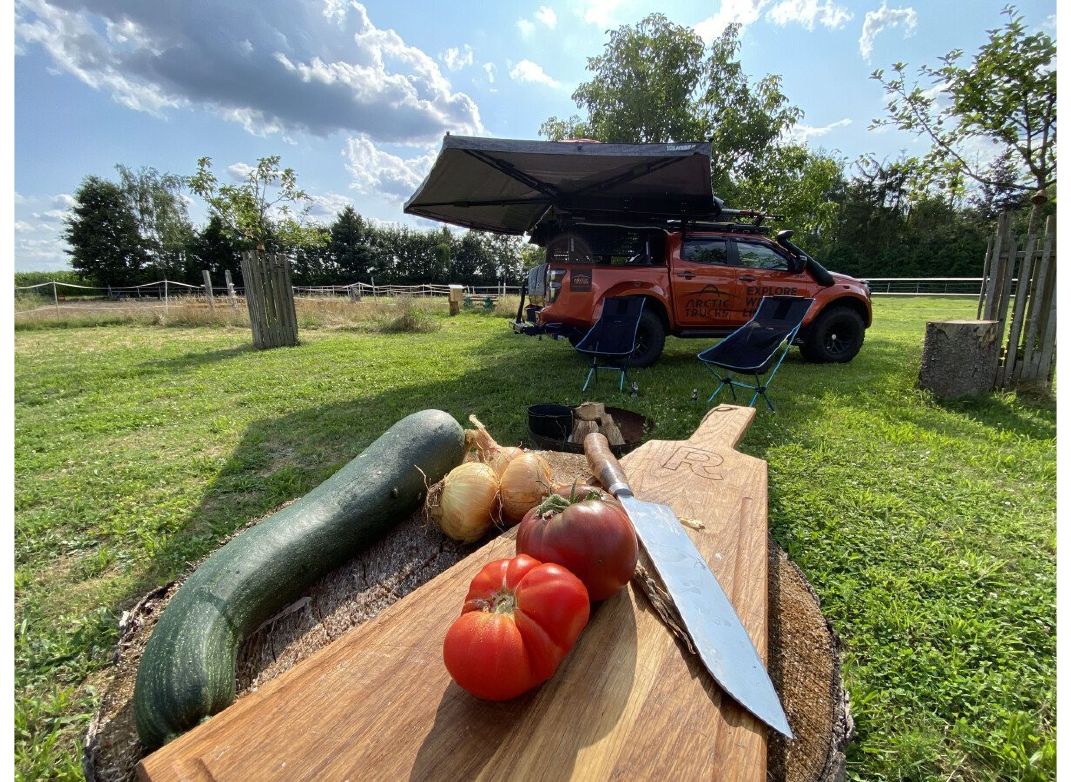 Wiese am Waldrand — Photo 2