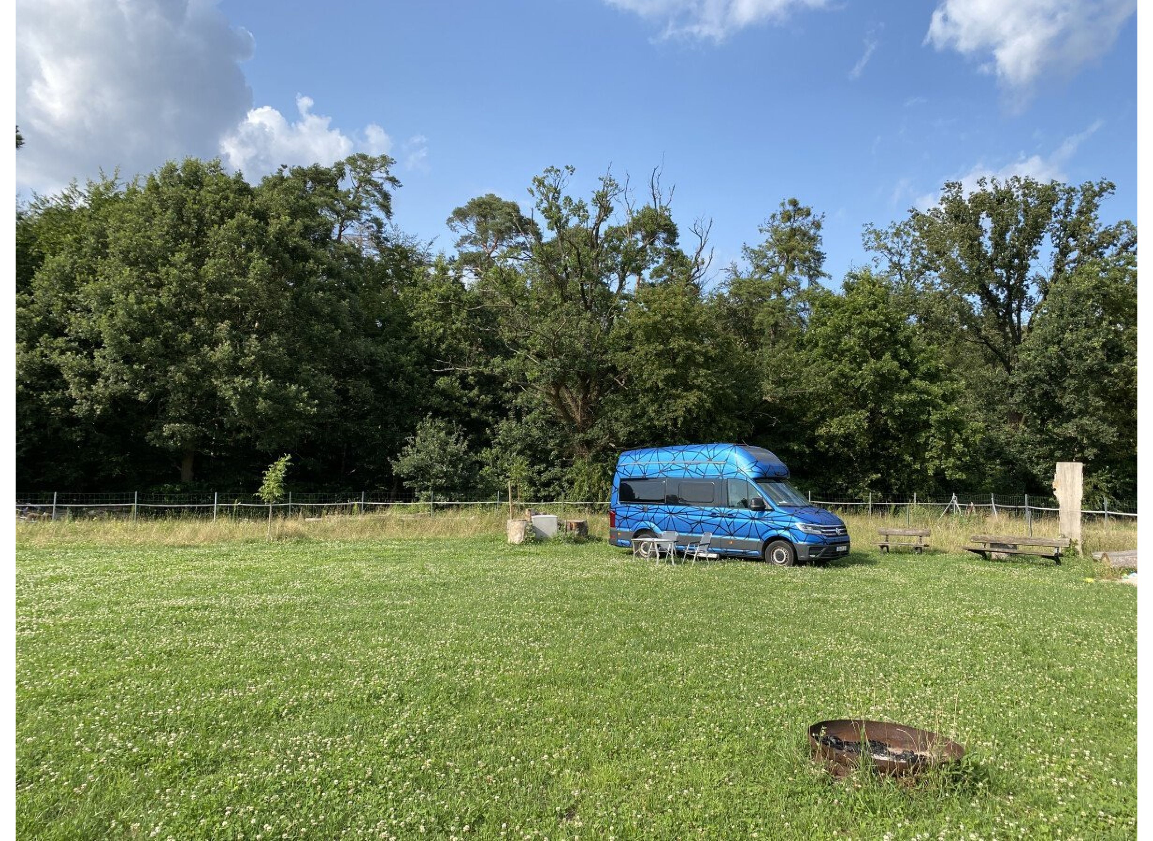 Wiese am Waldrand — Photo 3