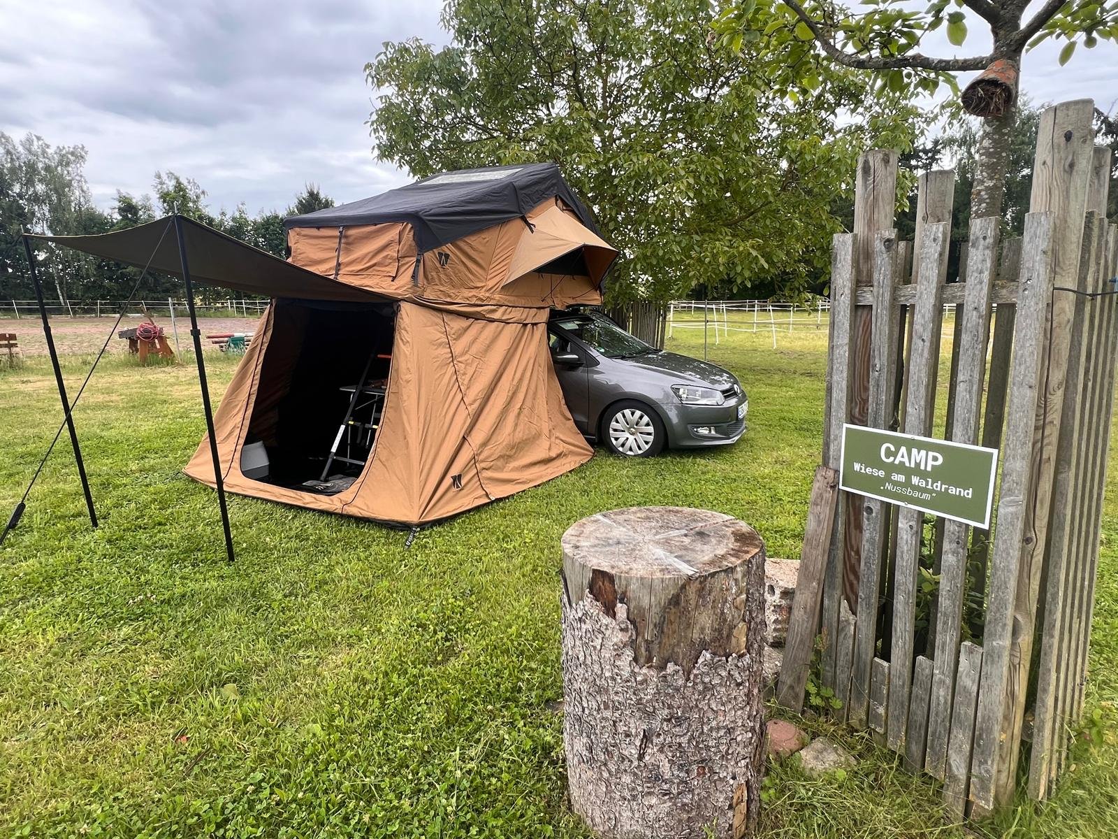 Wiese am Waldrand — Photo 4