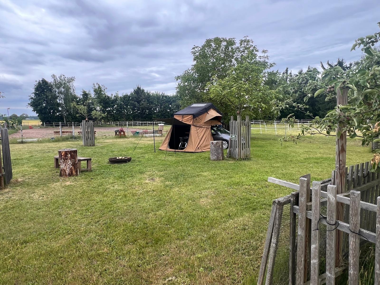 Wiese am Waldrand — Photo 5