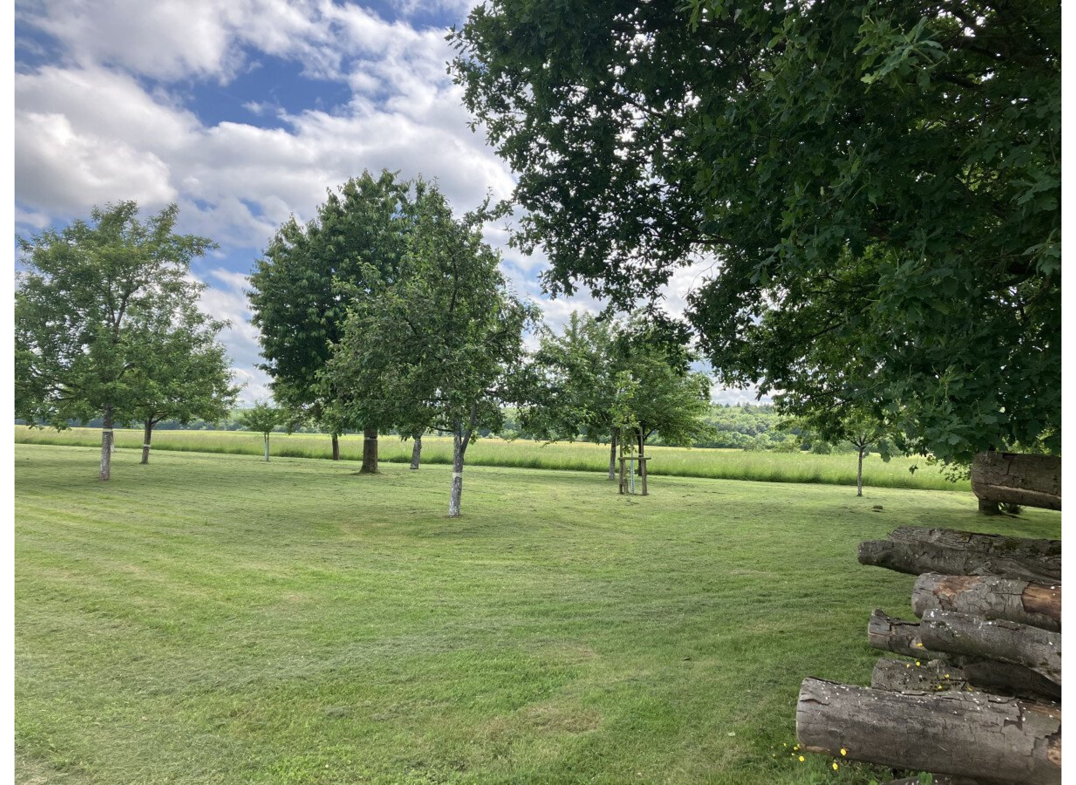 Streuobstwiese Borchen — Motorhome pitch in Borchen