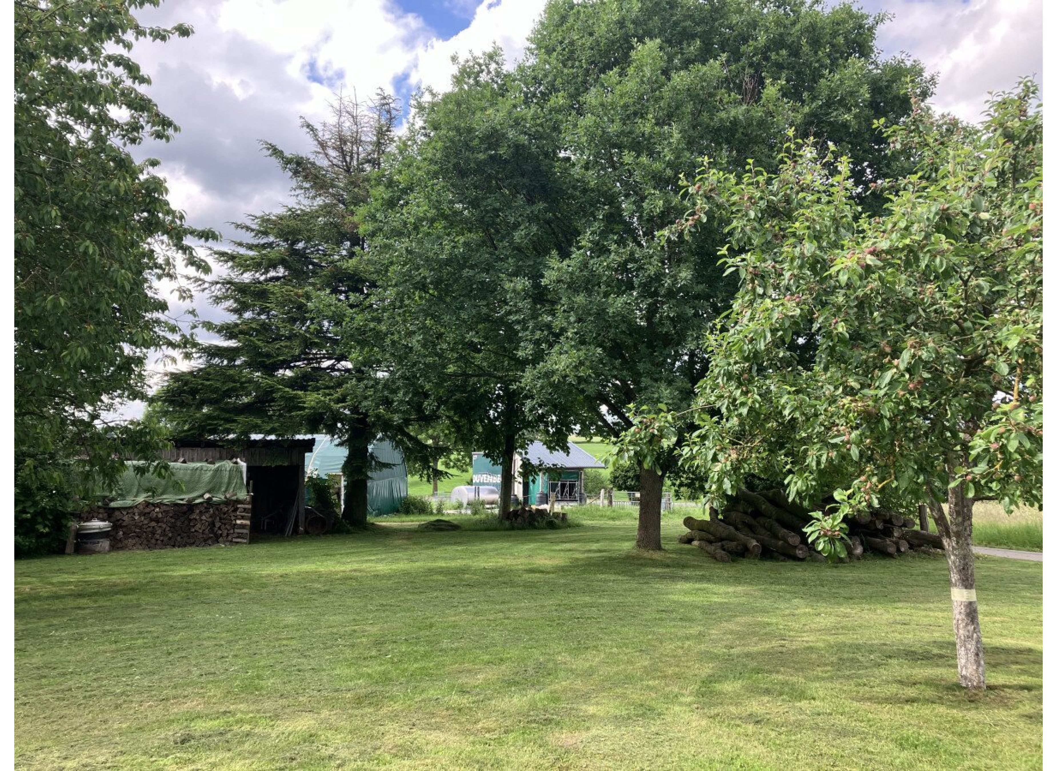 Streuobstwiese Borchen — Photo 2