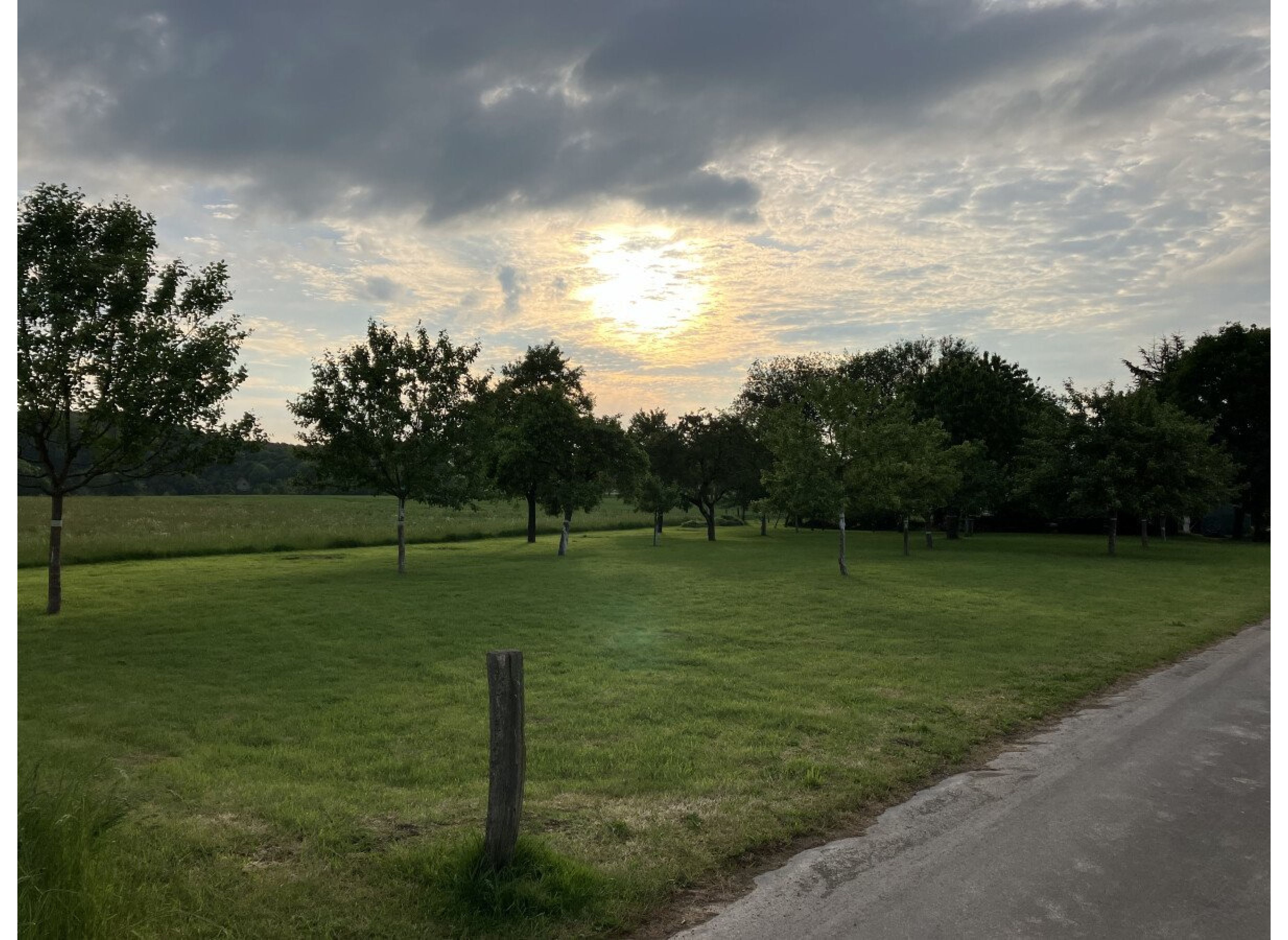 Streuobstwiese Borchen — Photo 3