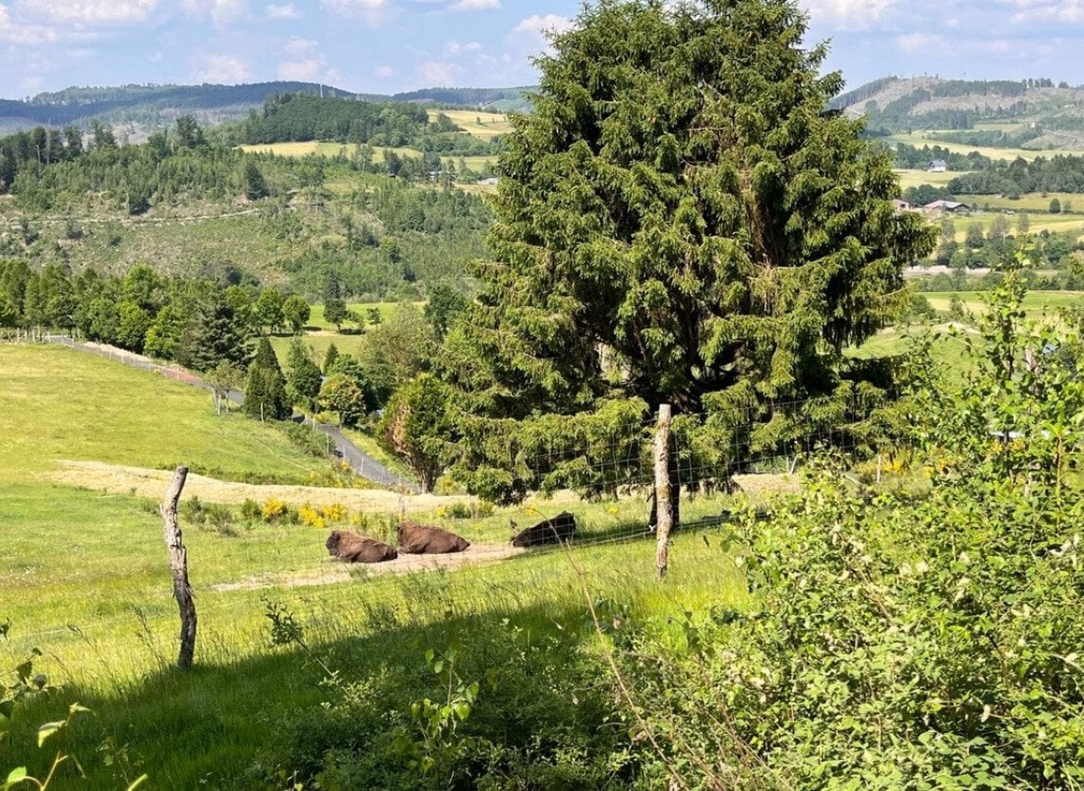 Traumhafte Aussicht — 房车营地 in Bad Laasphe Feudingen 