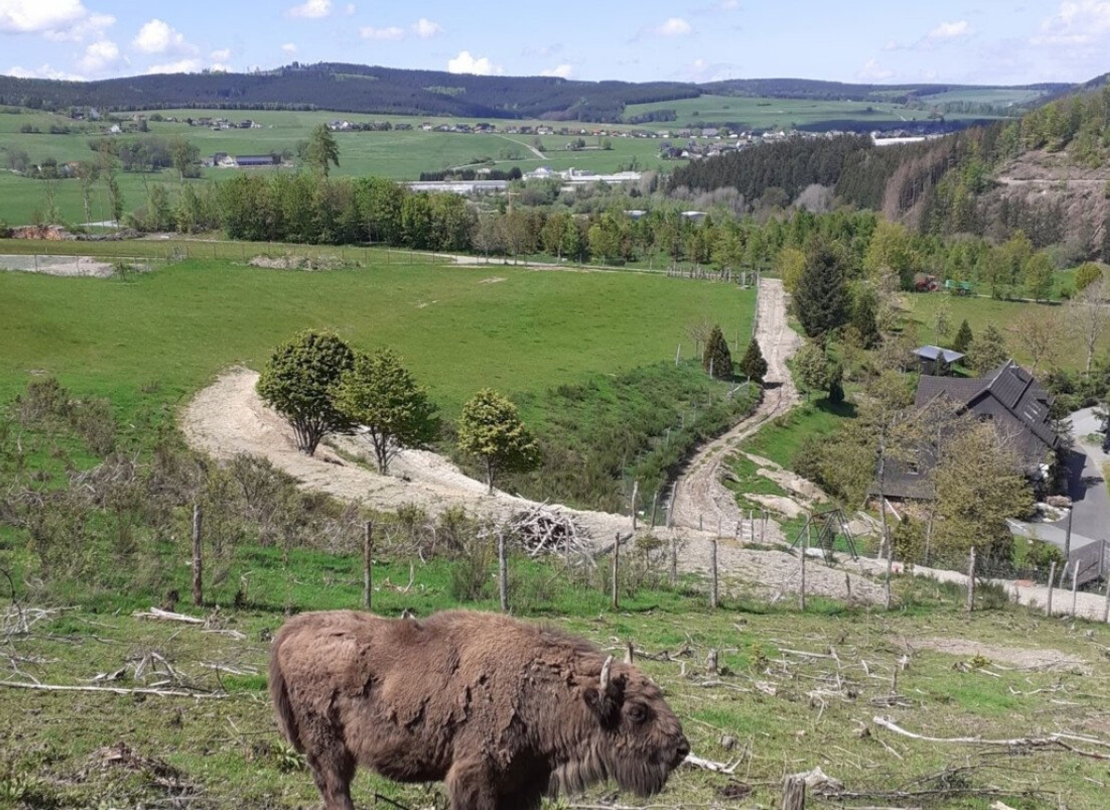 Traumhafte Aussicht — Photo 2