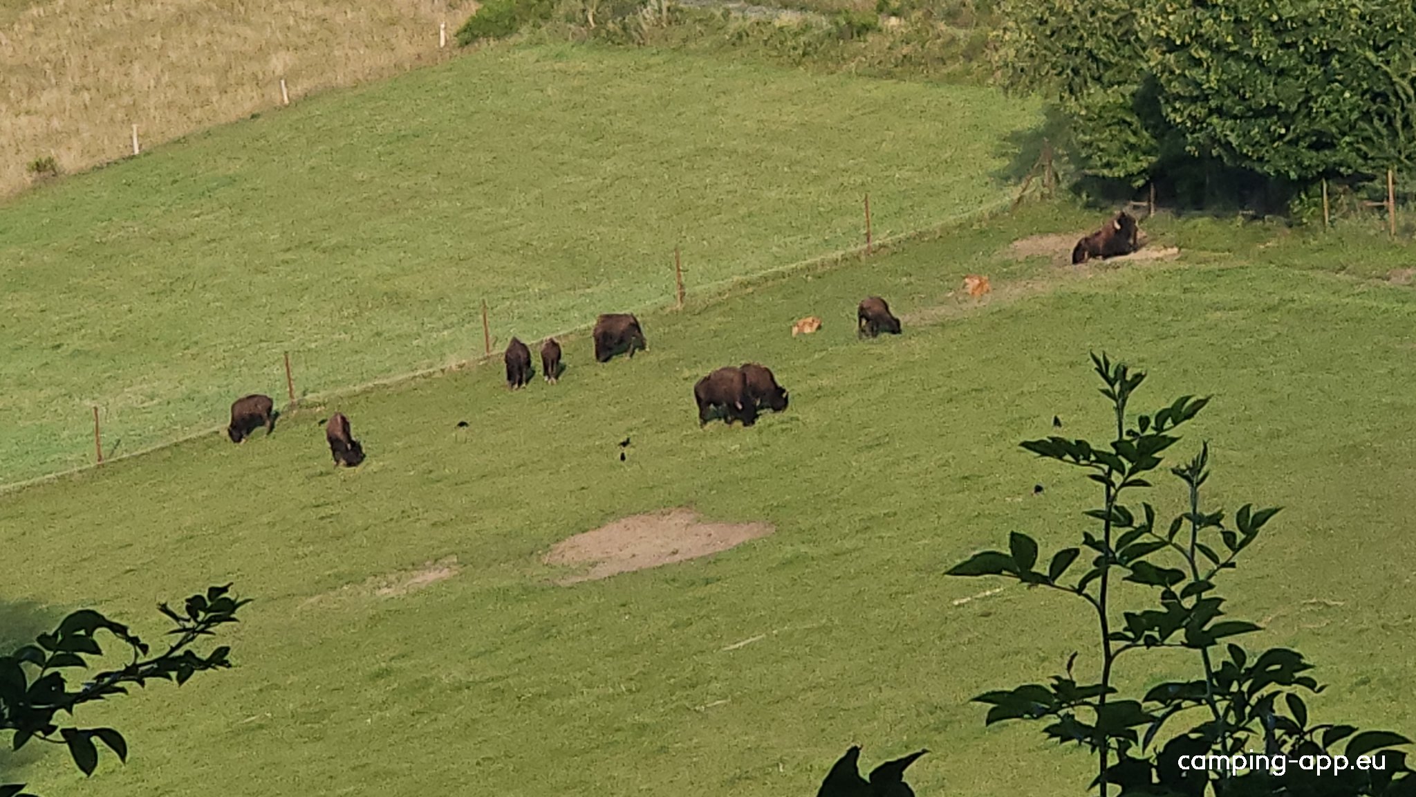 Traumhafte Aussicht — Photo 4