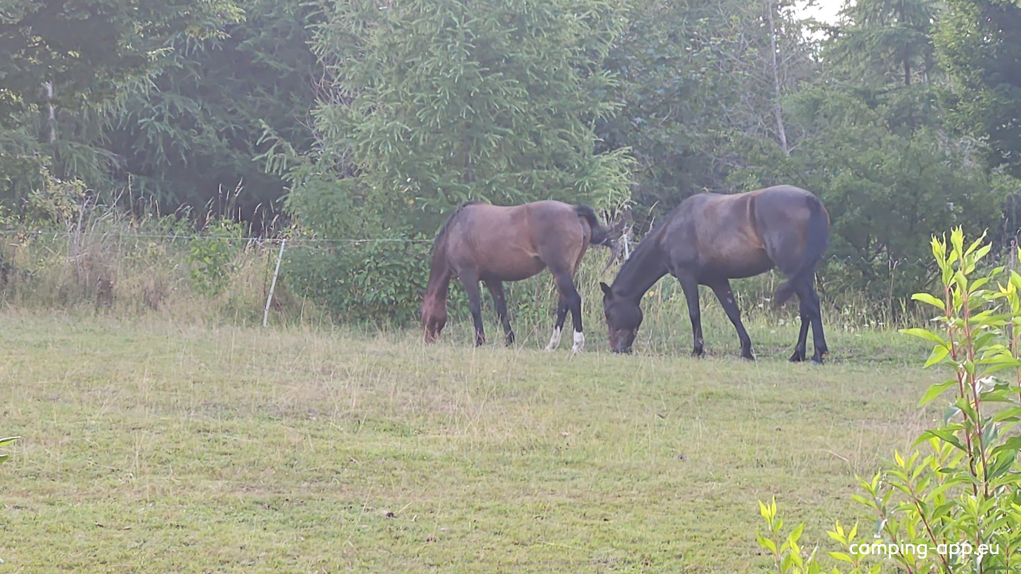 Traumhafte Aussicht — Photo 5