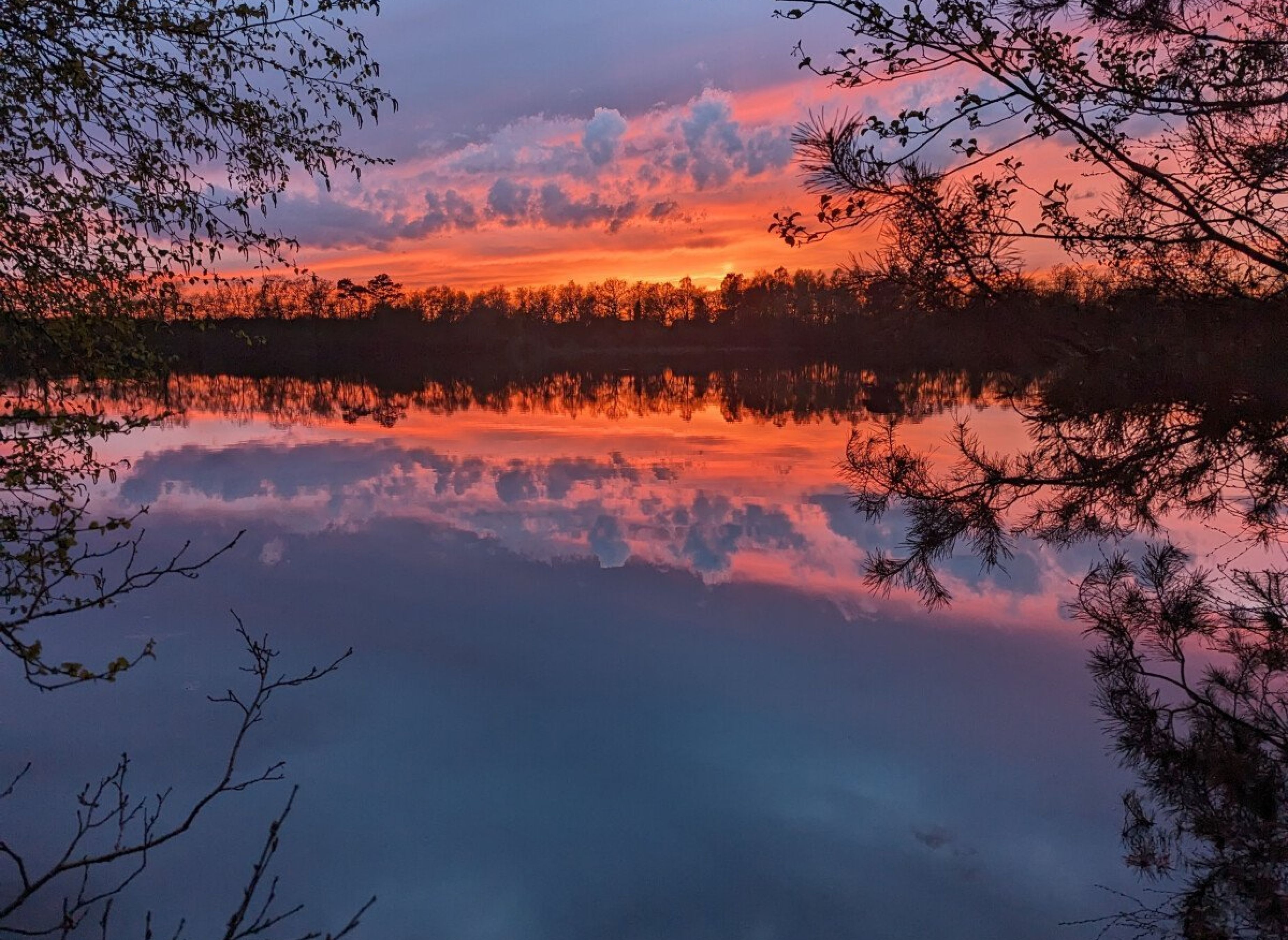 Lakeside Camping - Wunderschöner Gartenstellplatz mit Zugang zum See — Photo 3