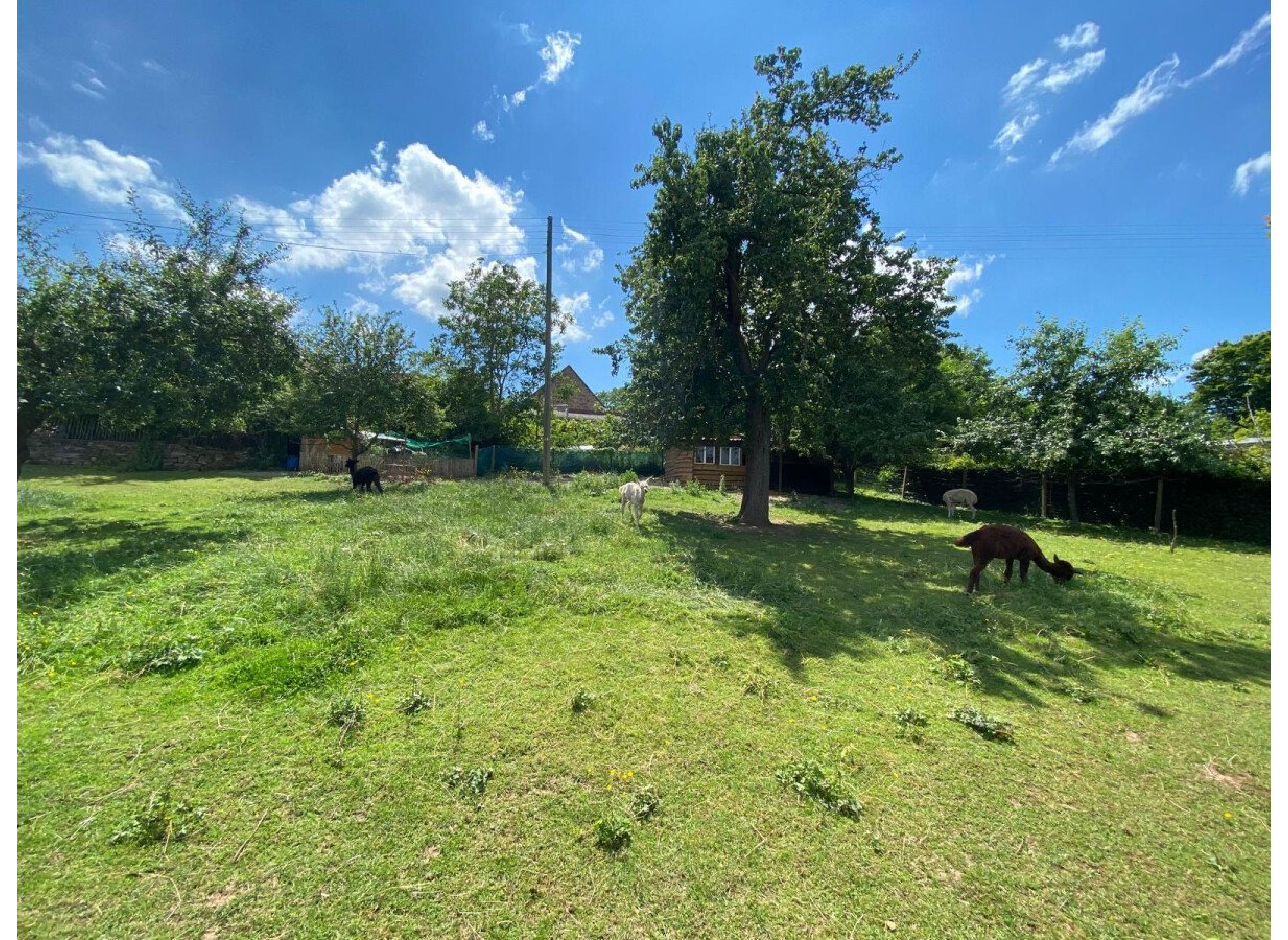 campen mit traumhaften weitblick in der pfalz — Photo 2