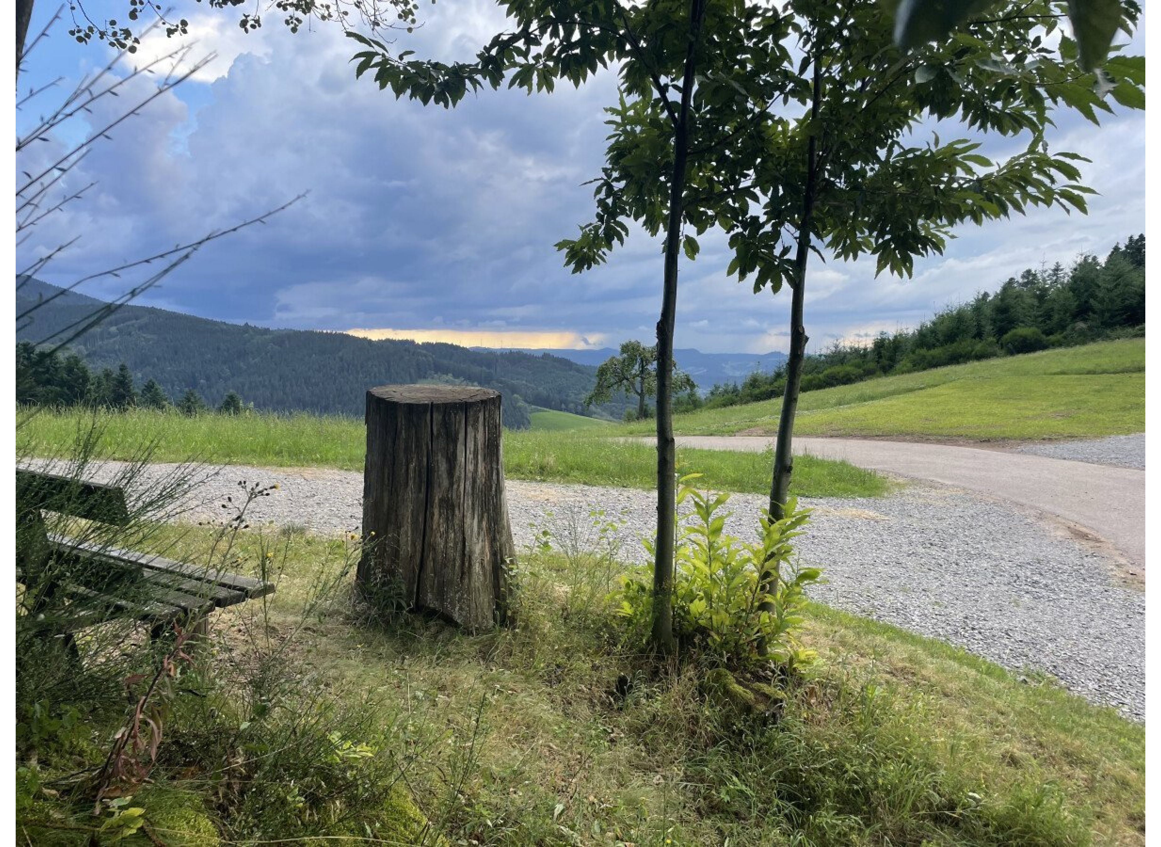 Stellplatzglück Wohnmobilstellplatz Oberharmersbach — Photo 2