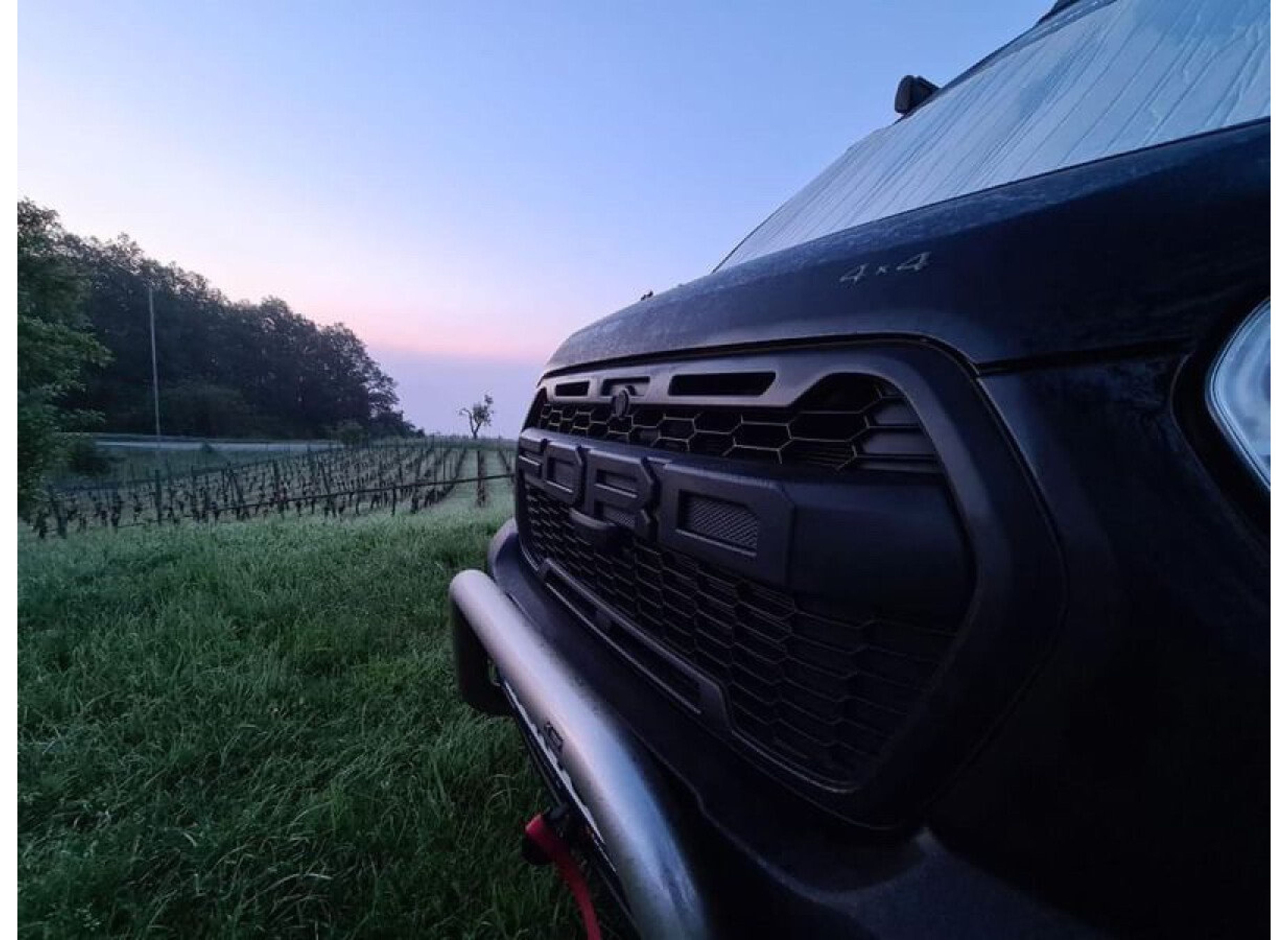Weinberg im Offenbacher Klostergarten des Pfälzer Berglands — Photo 3