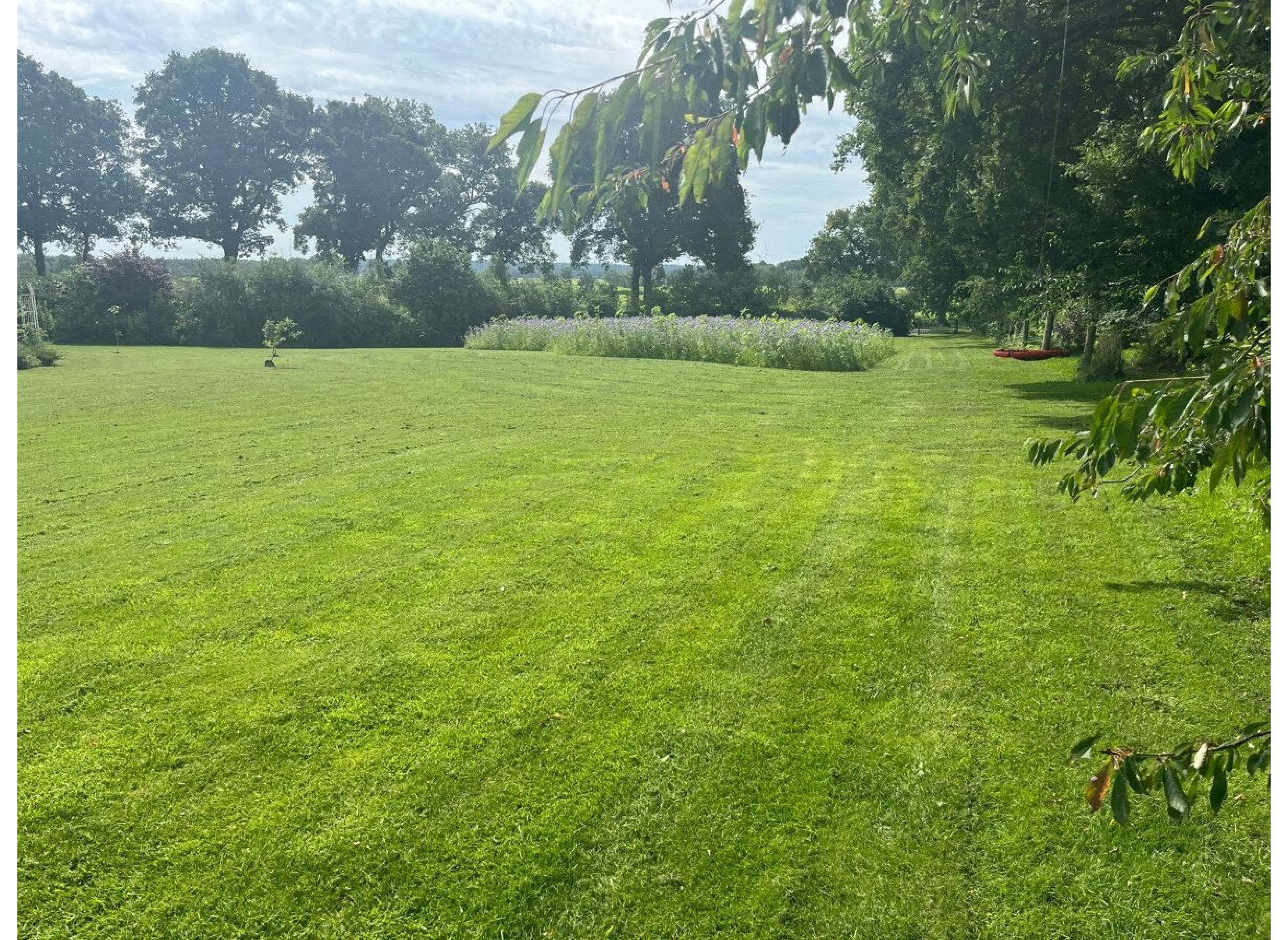 An der Blühwiese — Photo 3