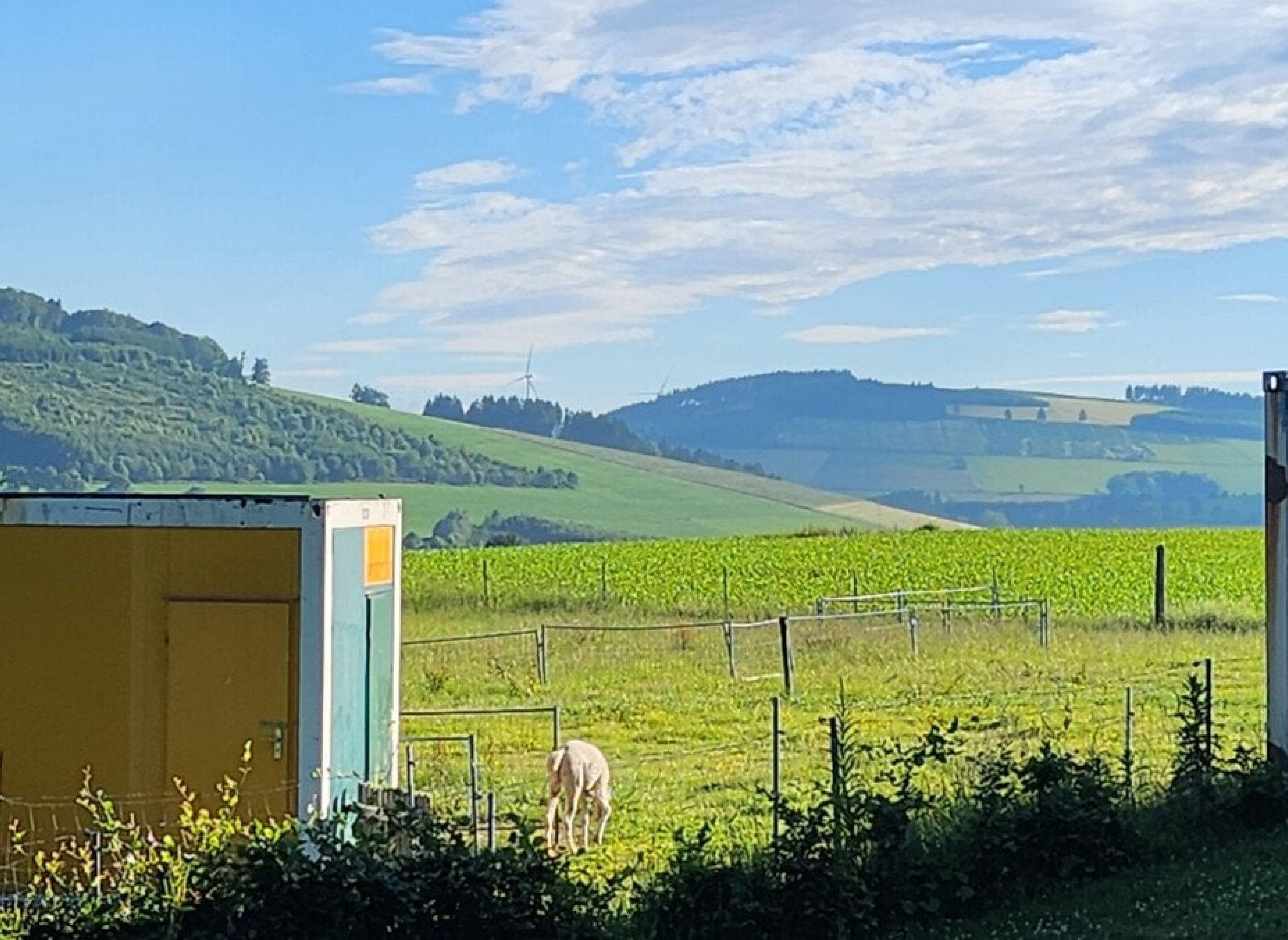 Stellplatz im Land der tausend Berge — Motorhome pitch in Winterberg