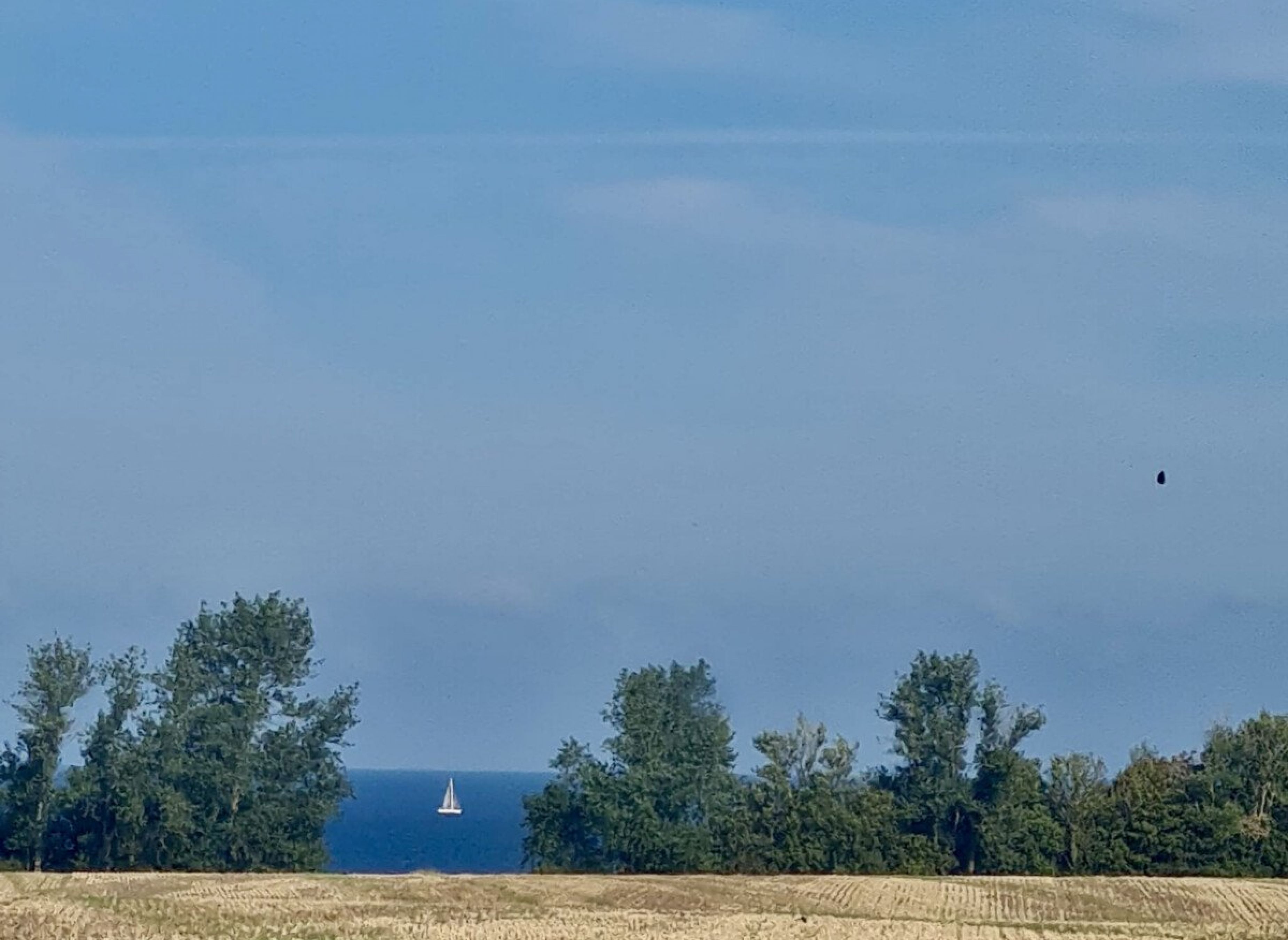 Wildpflanzenwiese Nähe Ostsee — Ställplats in Rerik