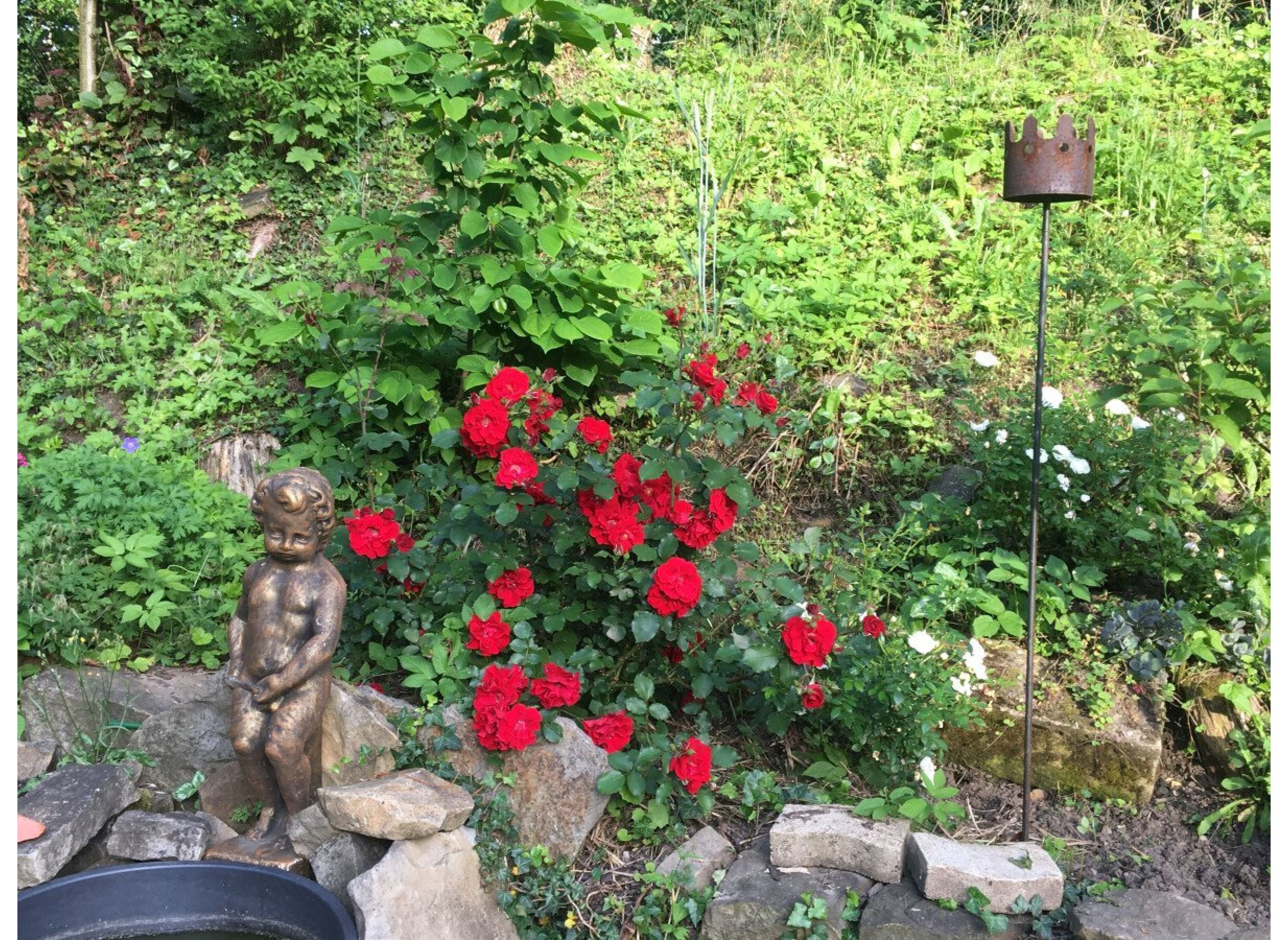 Beim Buckeberg — Photo 3