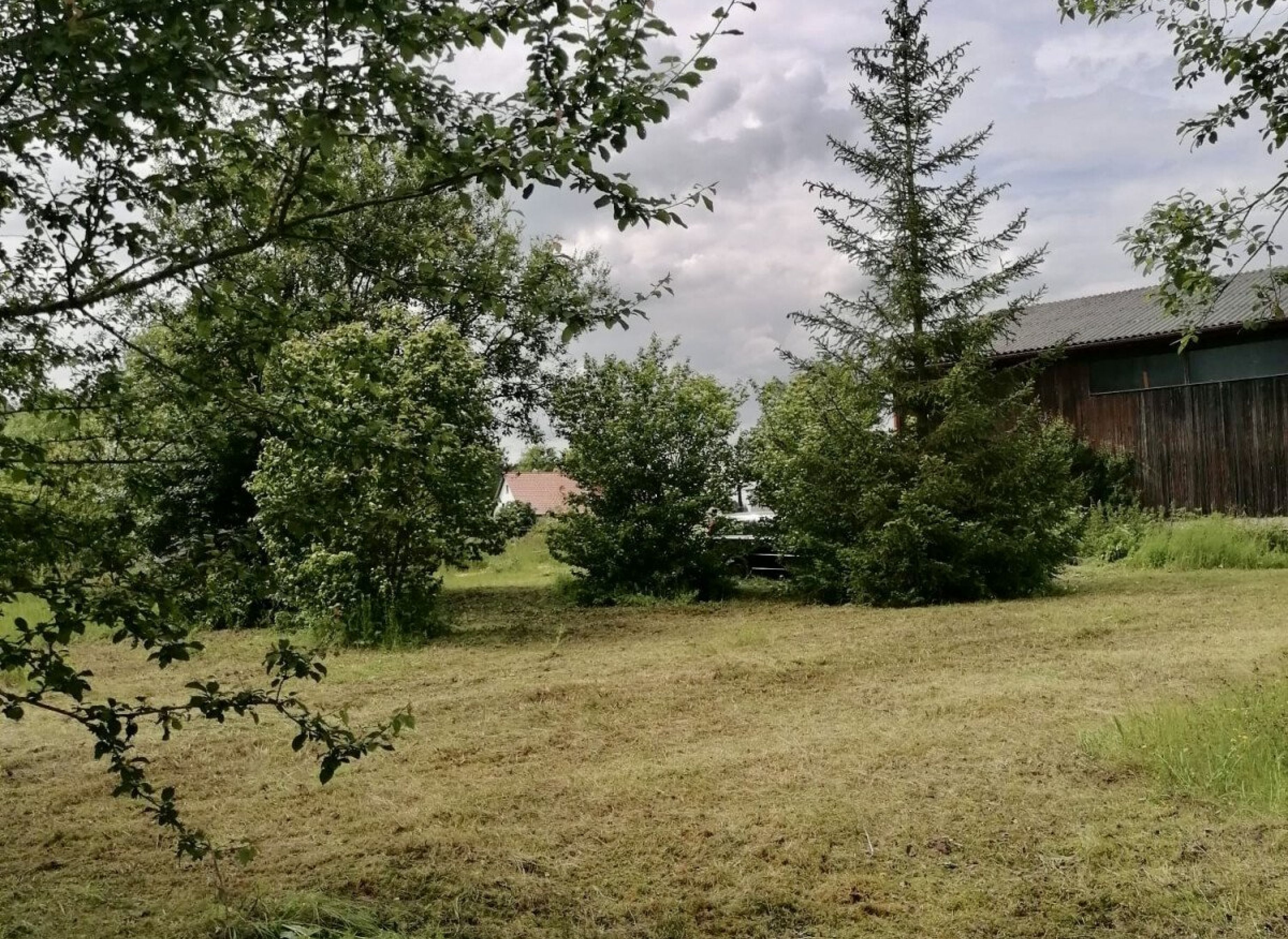 Wiese und Ödland  alte Sägerei — Photo 2